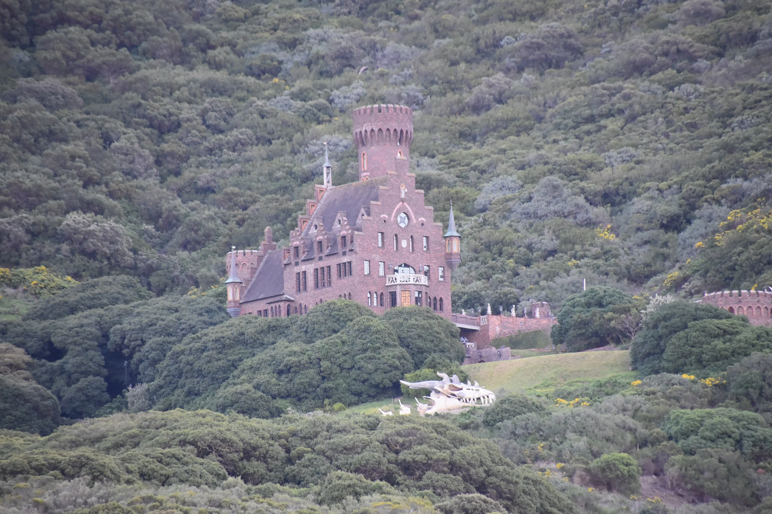 DSC_0204.JPG