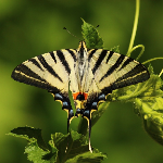 Health &amp; Wellbeing