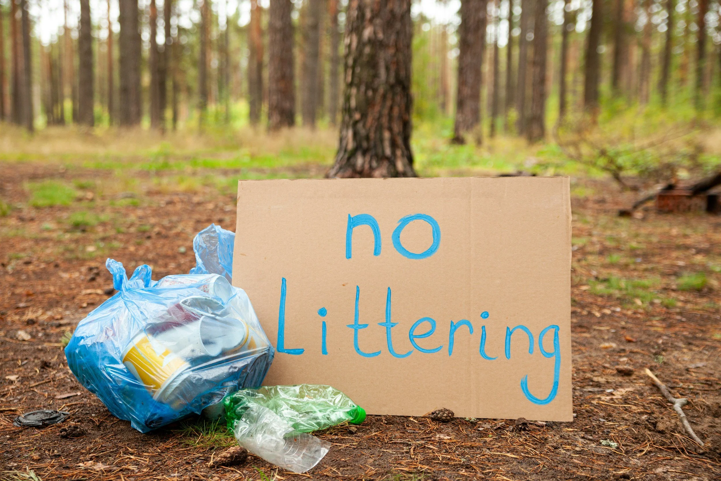 Glasgow Litter Pick