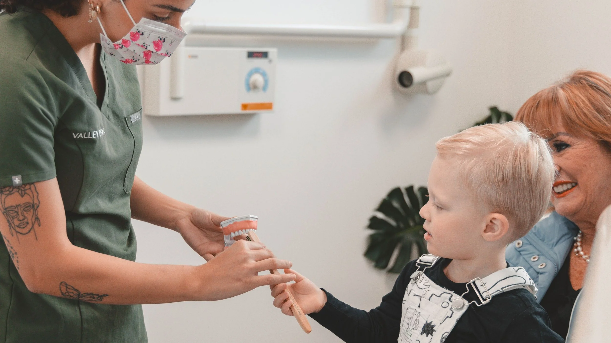 How the Child Dental Benefits Schedule (CDBS) Works — Valley Dental