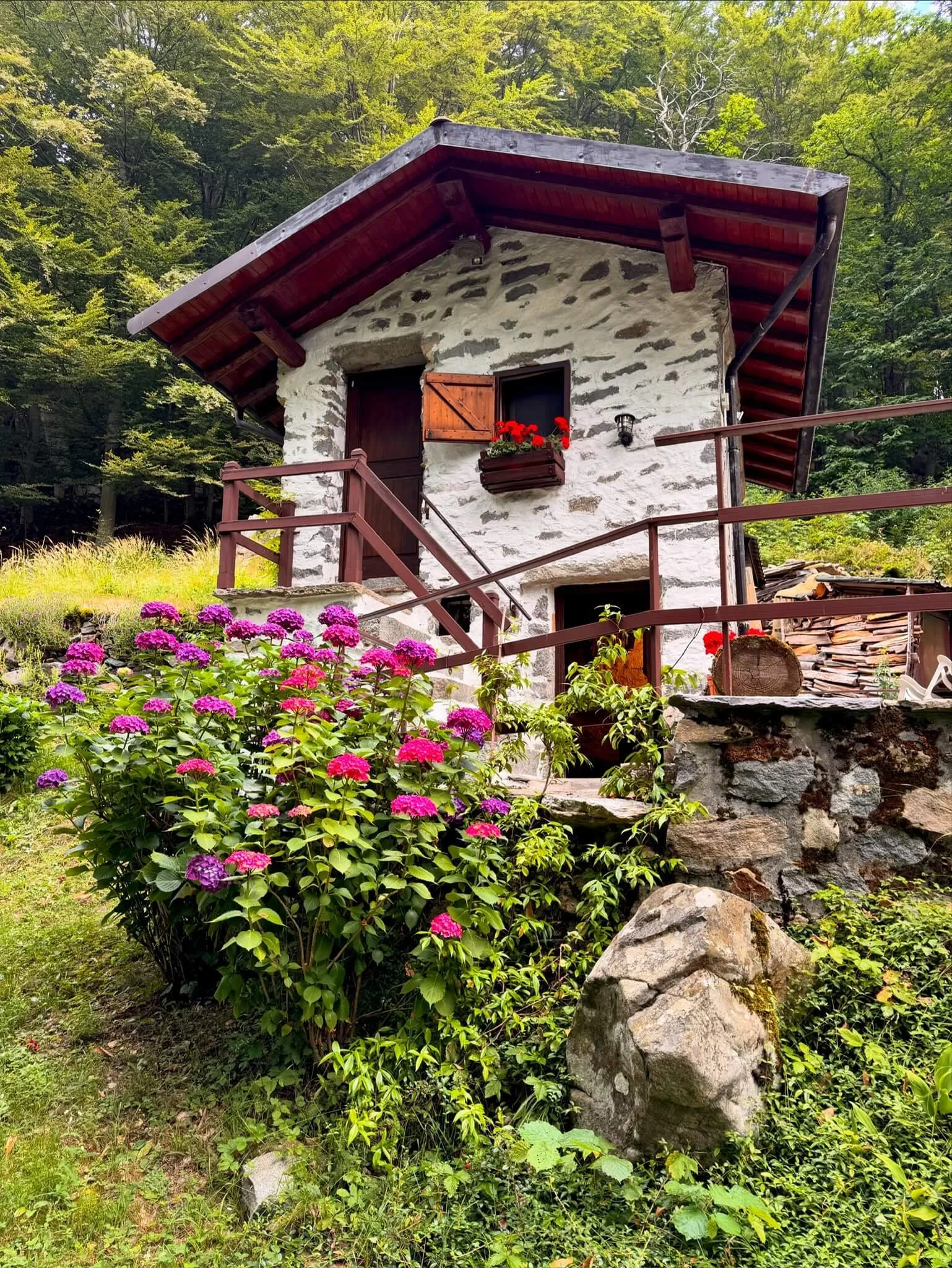 A Little Cabin in the Alps