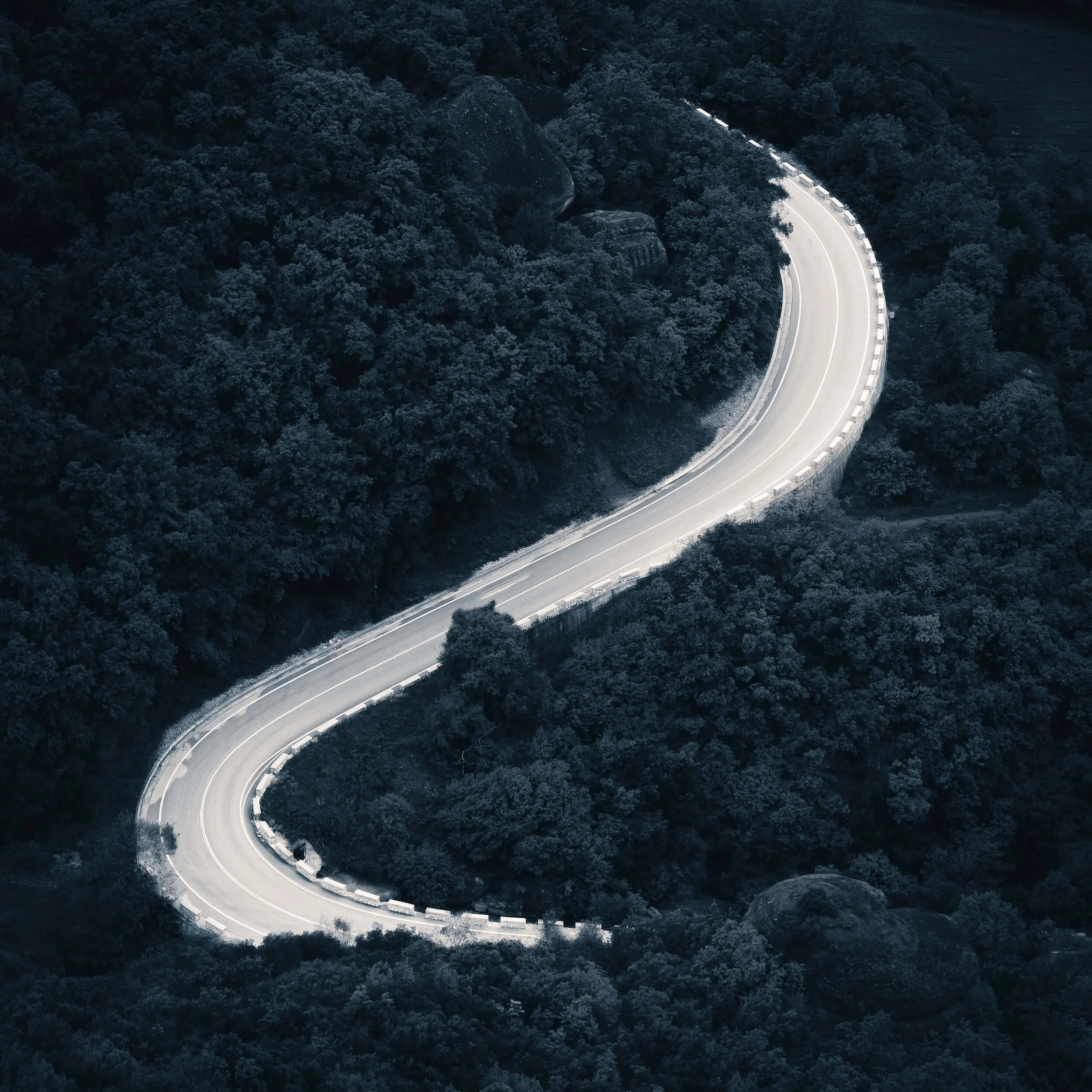 a curving road through deep forest