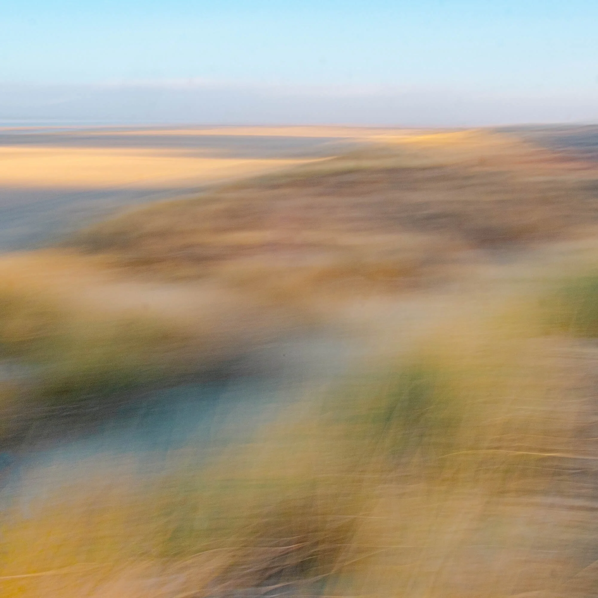 Intentional Photography