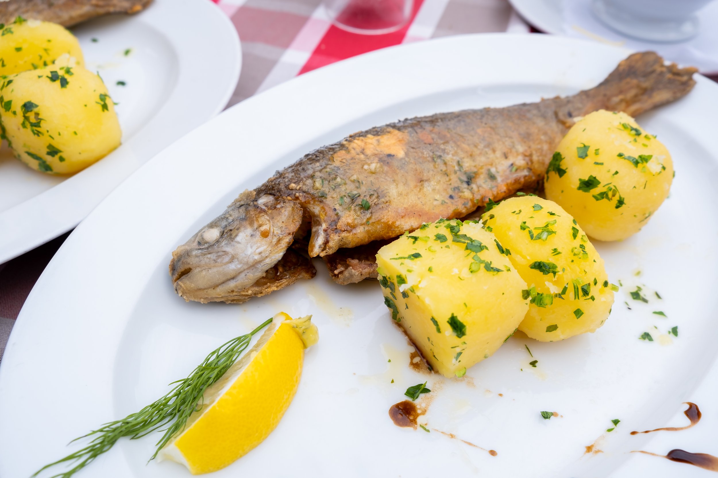 fresh-hallstatt-trout-potatoes-recipe-on-white-dis-2022-11-26-00-25-36-utc.jpg
