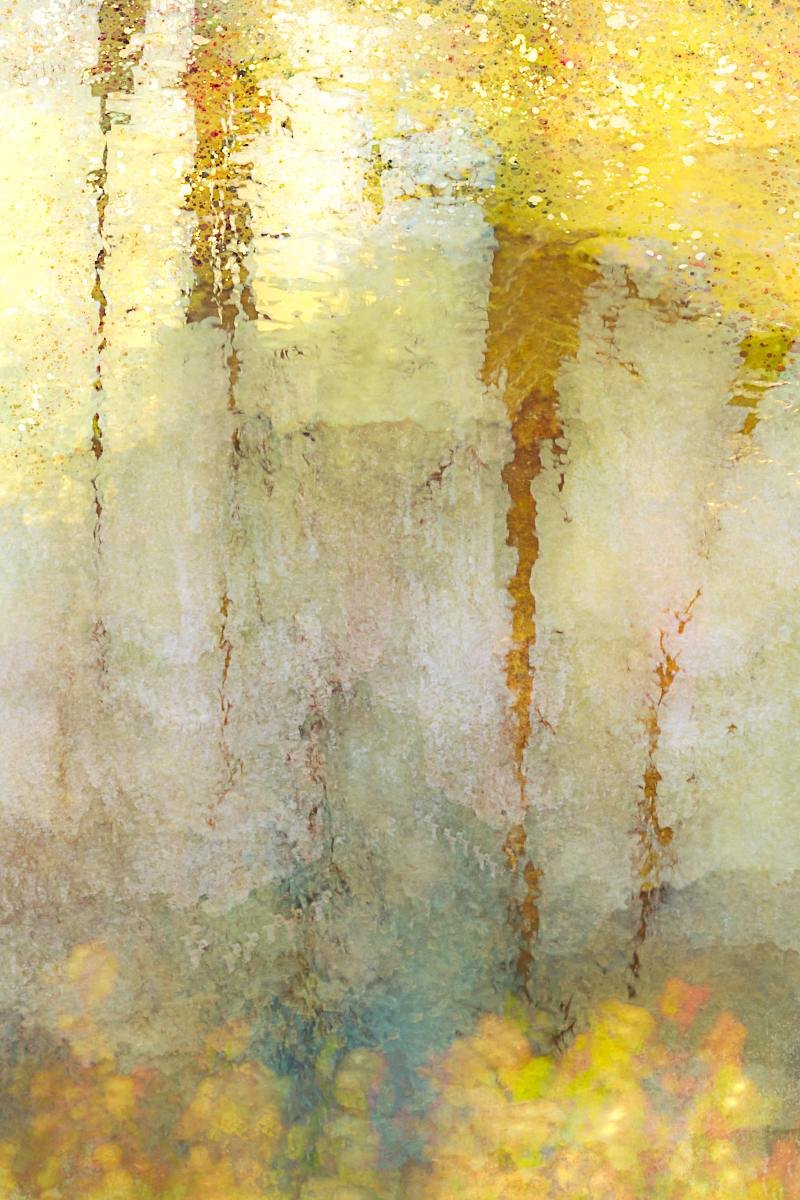 Wakening Spring I.   Spring isn’t just a season on the calendar – it’s that strange in‑between state where everything looks still, but you can feel change under the surface.  Here I'm capturing the sun on water, with a hint of trees and blossom in th