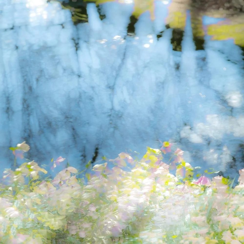 Wakening Spring II.   Spring isn’t just a season on the calendar – it’s that strange in‑between state where everything looks still, but you can feel change under the surface.  Here we have reflections that could be sky, flowers that are almost-but-no