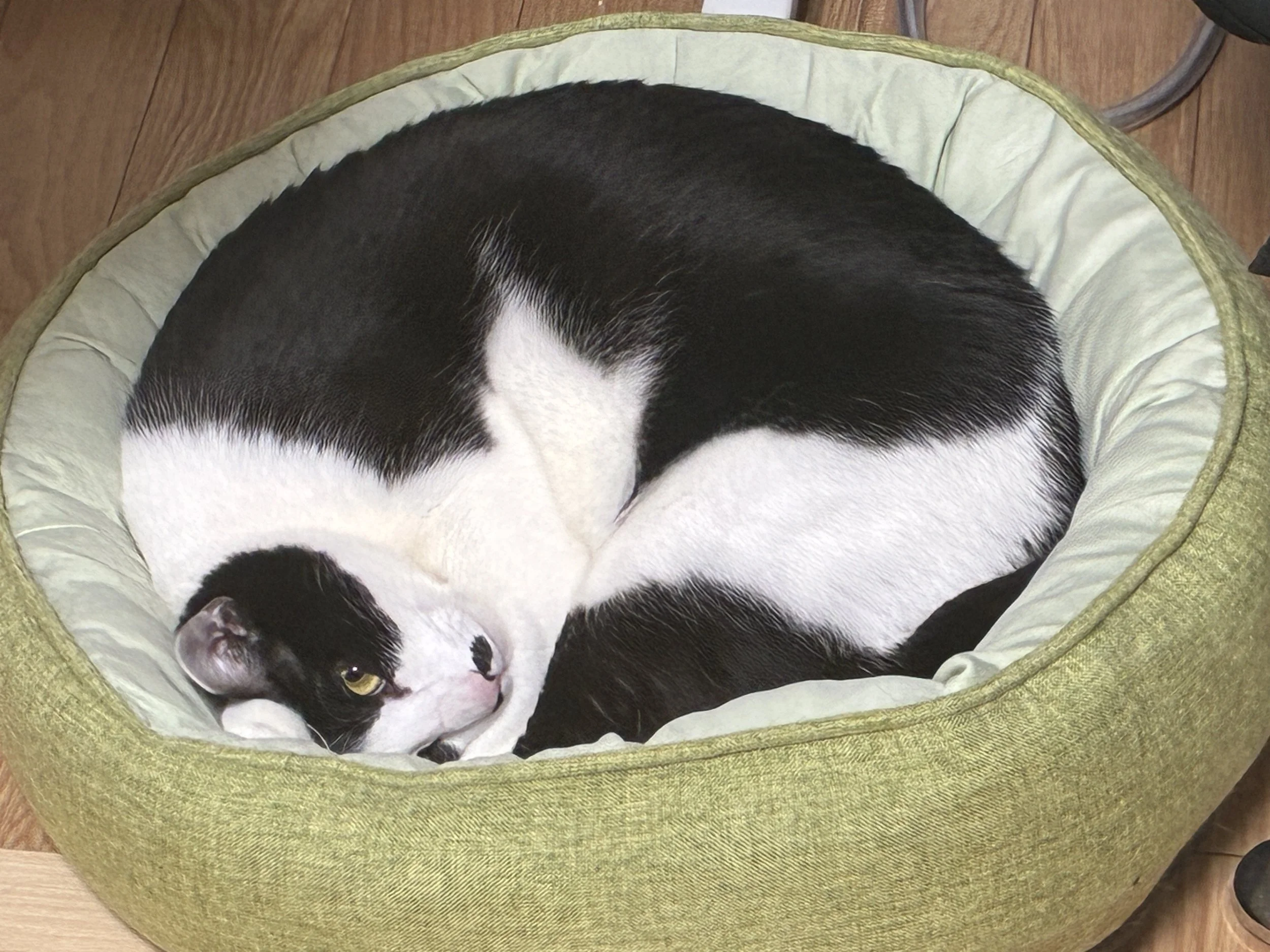 選挙です（仕事しろ）