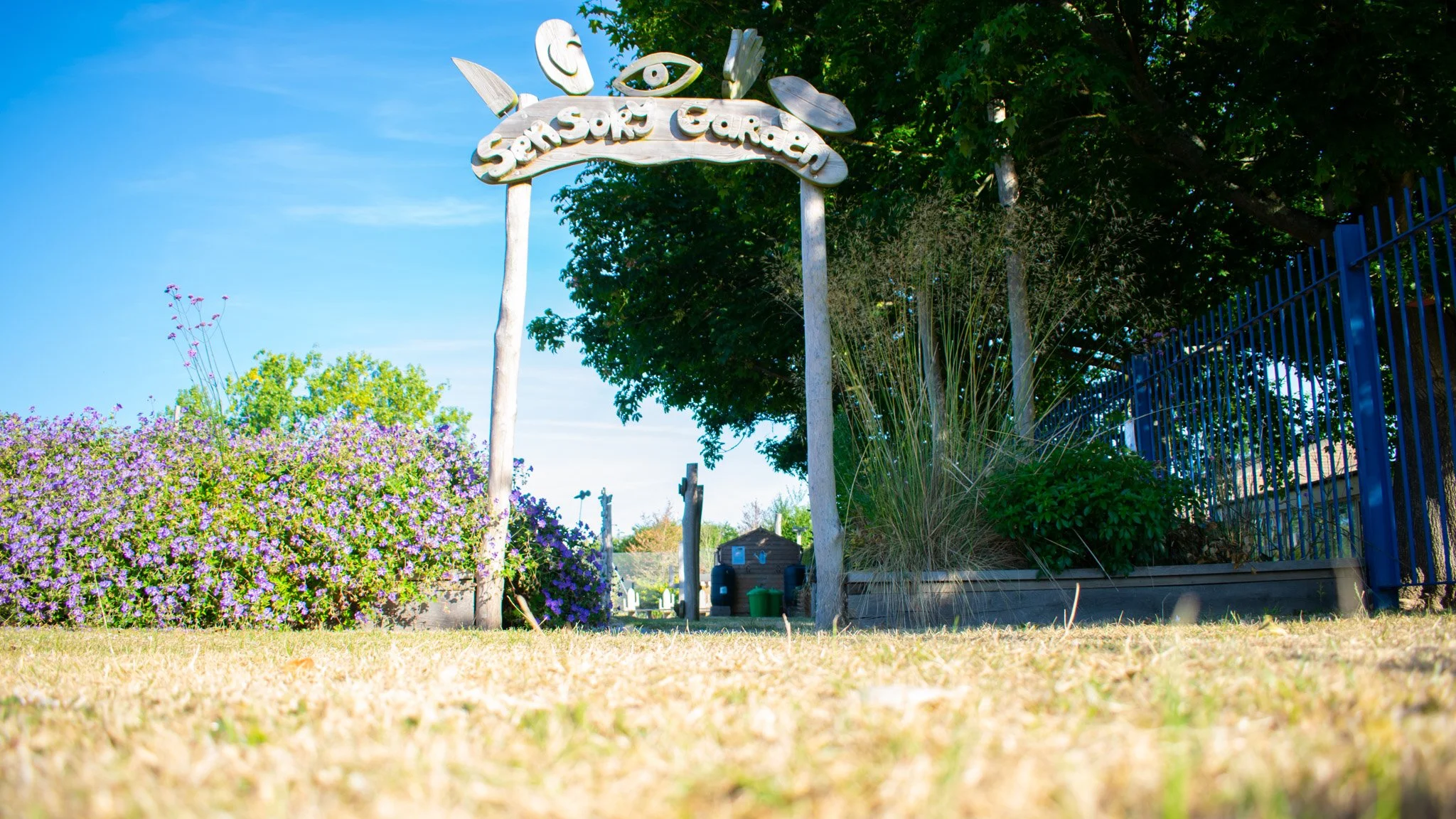 DSC_0116.jpg