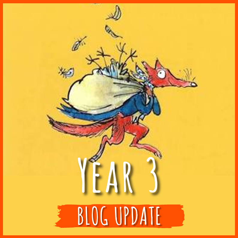 Year 3 blog: