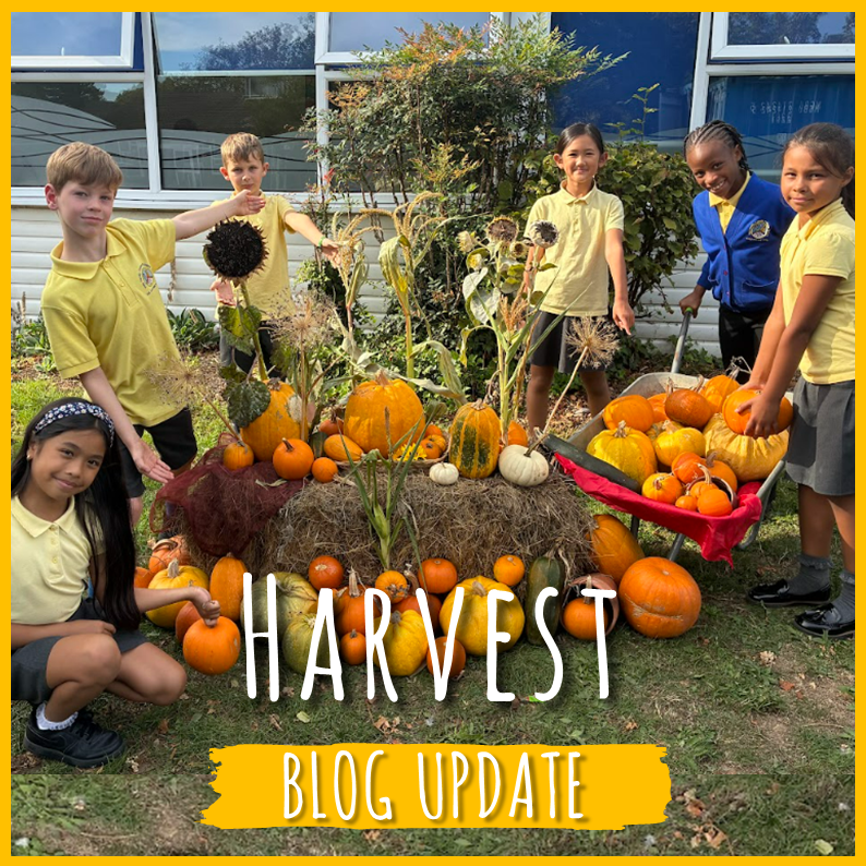 Harvest blog: