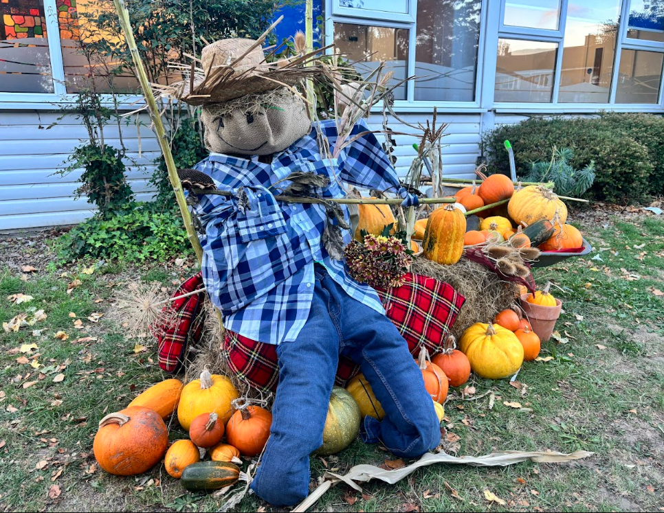 image (64).png