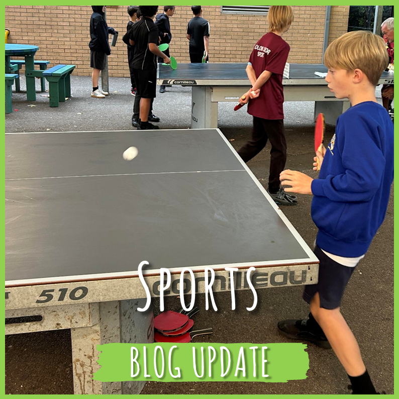 Sports: