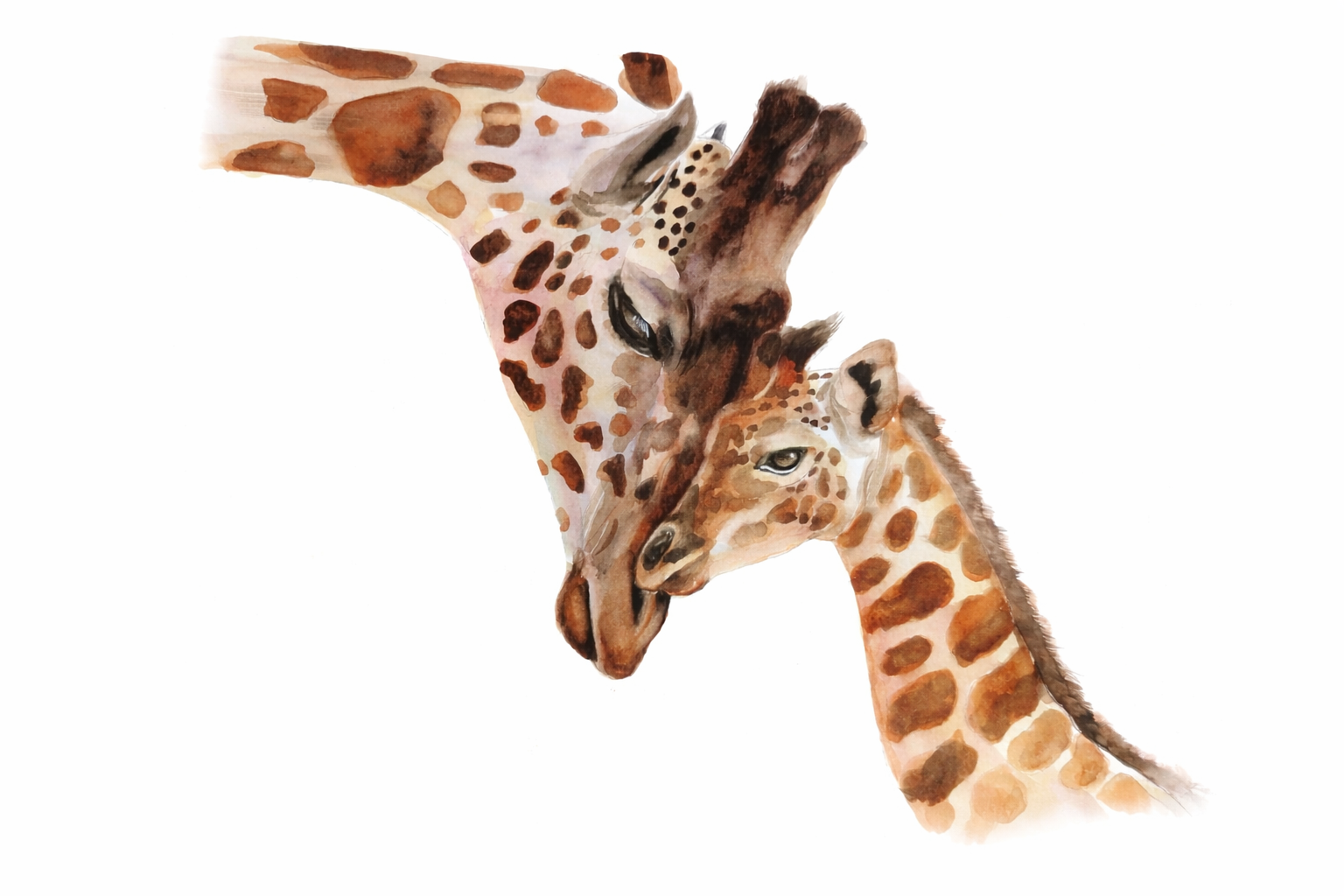 file_00000000786c71f490bb9f3fd2994c6b (1).png