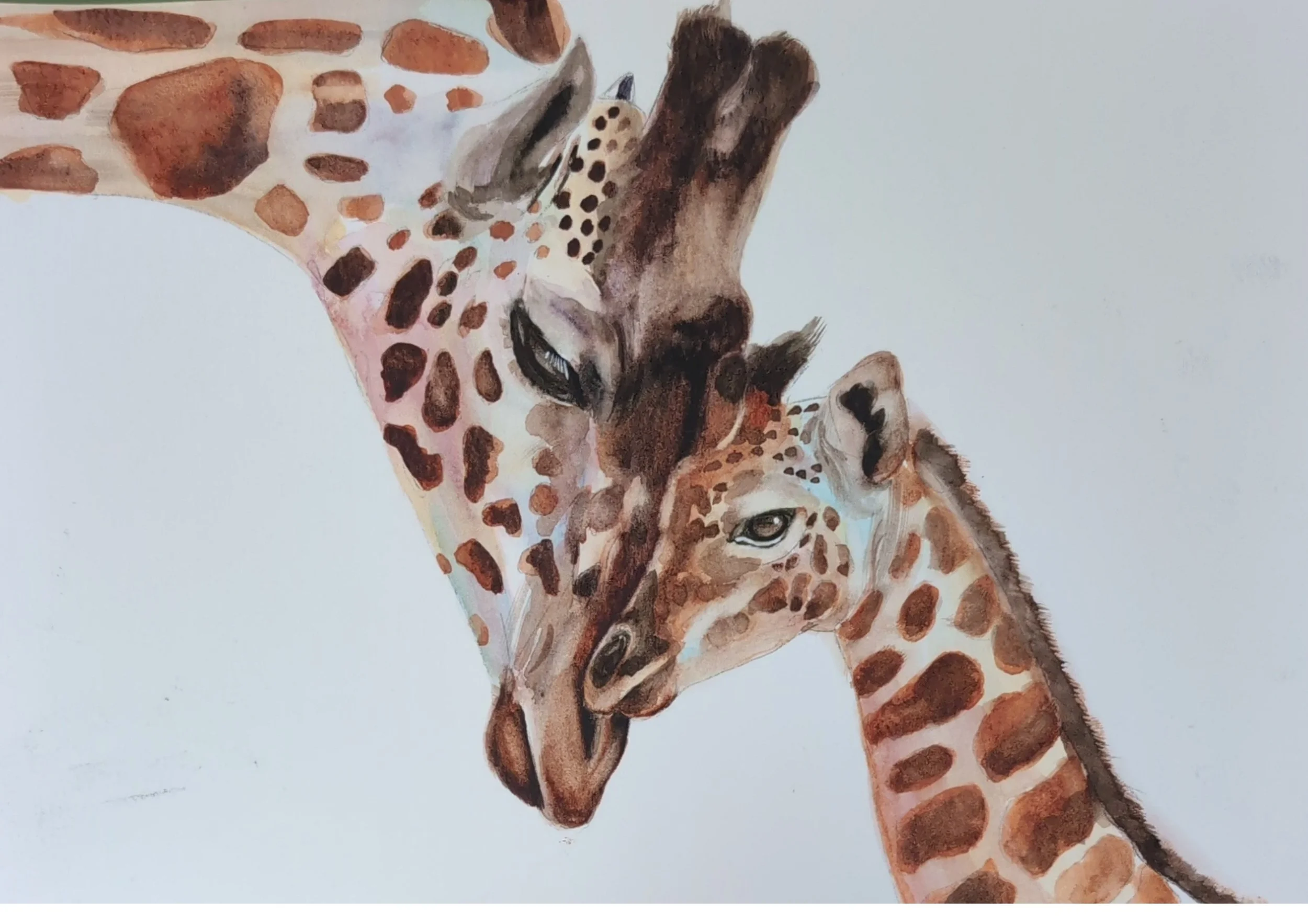 Café Hs- Giraffe Watercolour Experience