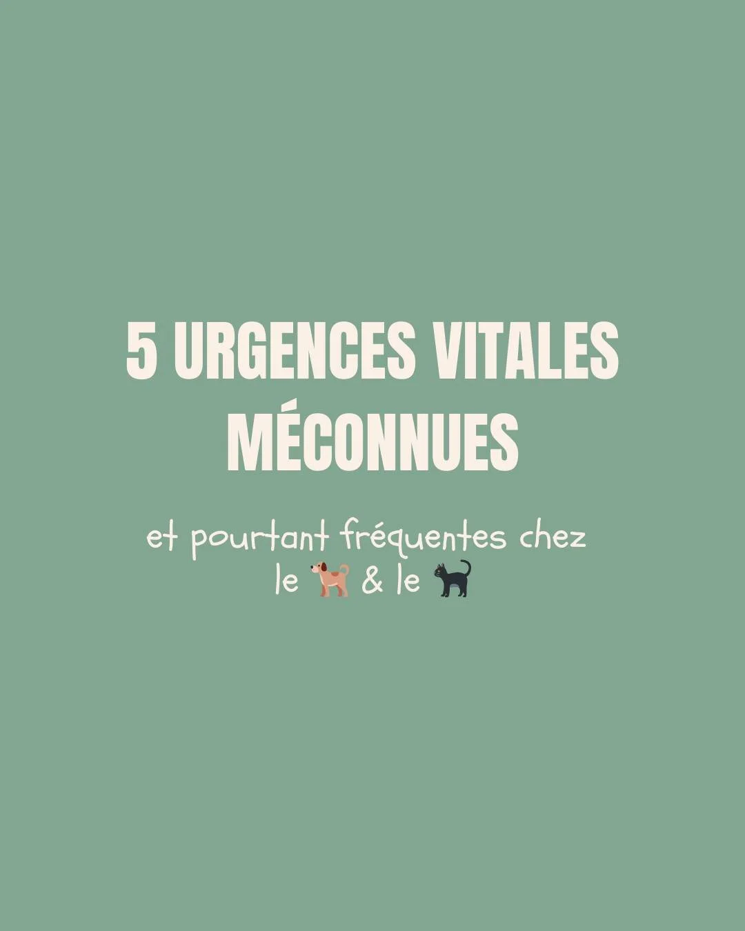 En urgence, le temps est souvent l&rsquo;ennemi.
Et le danger, parfois, ne se voit pas.
Certaines situations sont encore trop m&eacute;connues alors qu&rsquo;elles n&eacute;cessitent une prise en charge imm&eacute;diate !

On vous a r&eacute;uni ici 