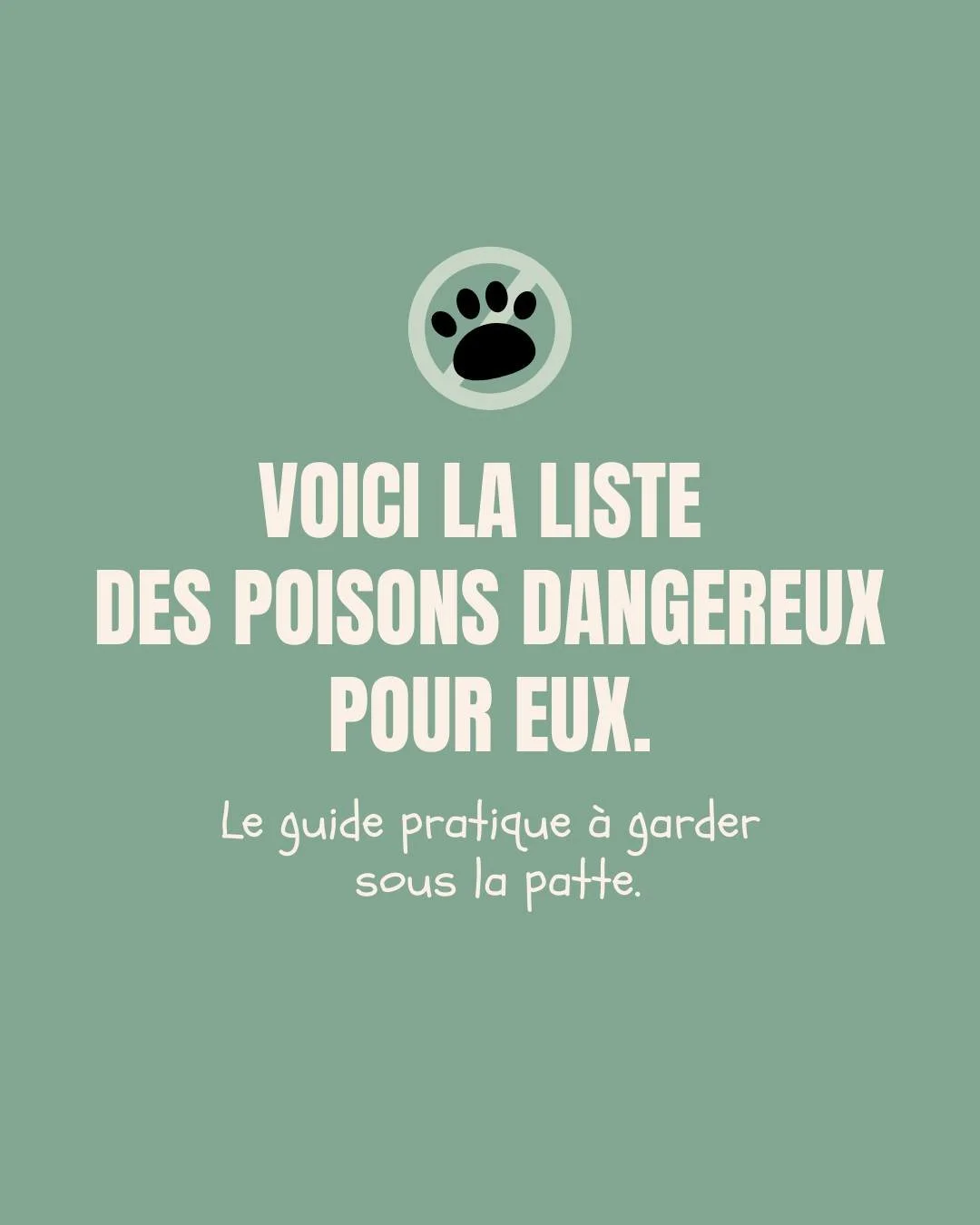 ⚠️ On voit encore trop d&rsquo;intoxications &eacute;vitables en consultation &agrave; la clinique !
Cuisine, maison, ext&eacute;rieur&hellip; D'o&ucirc; ce post qui m&eacute;rite toute votre attention 👀

🐾 Ce guide peut vous aider &agrave; les rep
