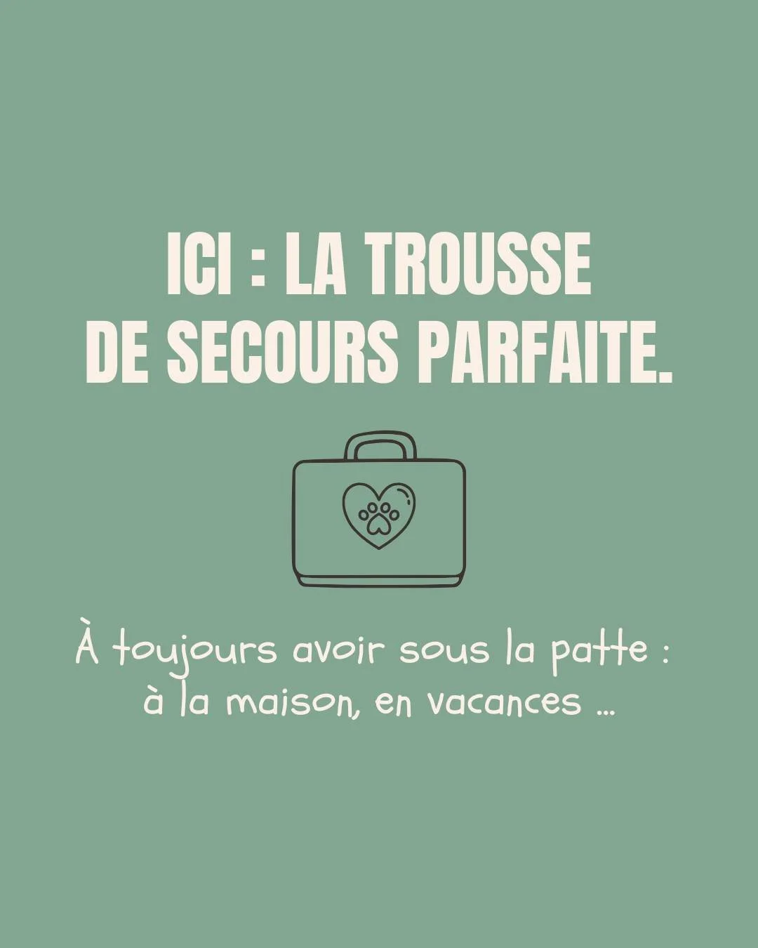 Vous y avez pens&eacute; ? 👀

Selon nos v&eacute;t&eacute;rinaires, voici la trousse de secours que tous les pet parents doivent avoir &agrave; port&eacute;e de patte ! 🐾

- L'&eacute;quipe Les V&eacute;tos Parisiens 🤍 🩺

📍45, avenue de Suffren 