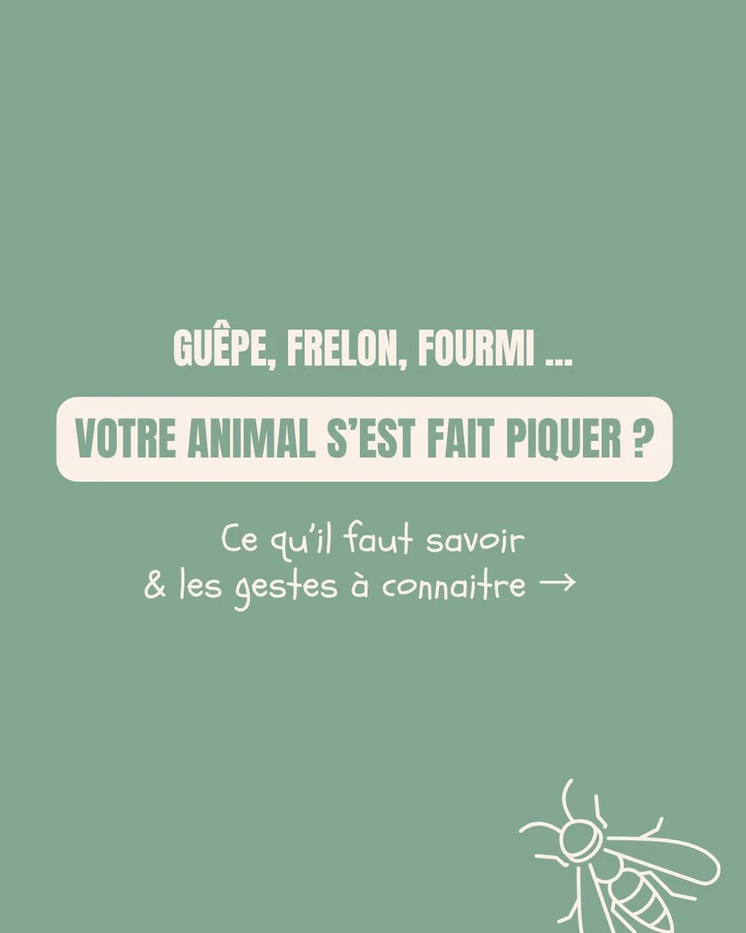 Piq&ucirc;re b&eacute;nigne ou urgence v&eacute;t&eacute;rinaire ? 🐾
Ce guide vous dit tout, insecte par insecte.

Sauvegardez ce post : il pourrait vraiment vous &ecirc;tre utile !

- L'&eacute;quipe Les V&eacute;tos Parisiens 🤍 🩺

📍45, avenue d