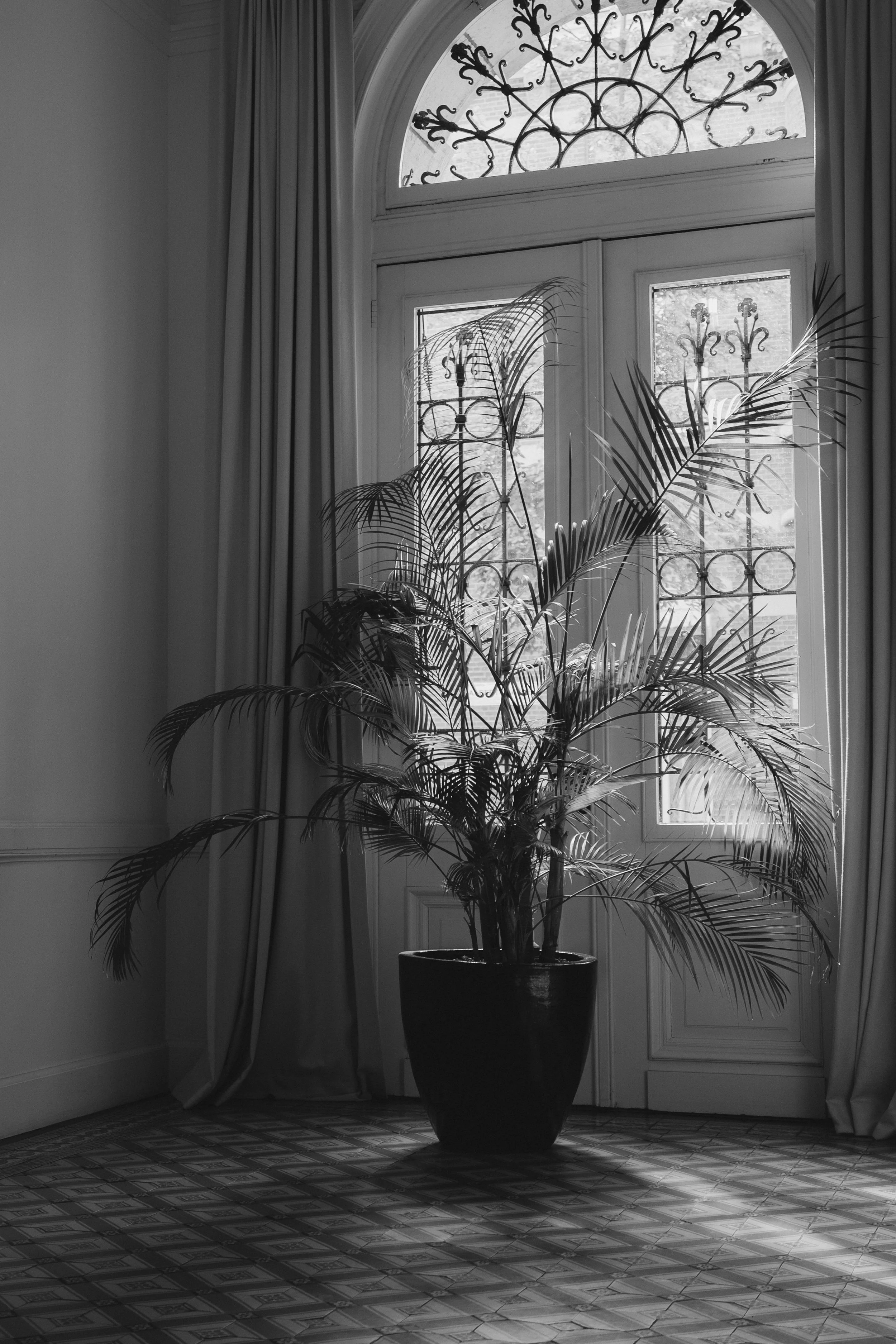 DSC03100.jpg