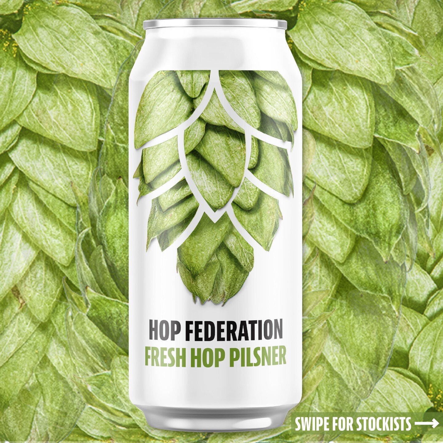 Our brand new fresh hop brew... Packed with freshly picked Motueka hops from our own @Kononewzealand Te Maatu hop gardens and Taiheke hops from our Karaka gardens, just down the road 😍🤩

Prepare your tastebuds for a delicious drop, zapping with zin