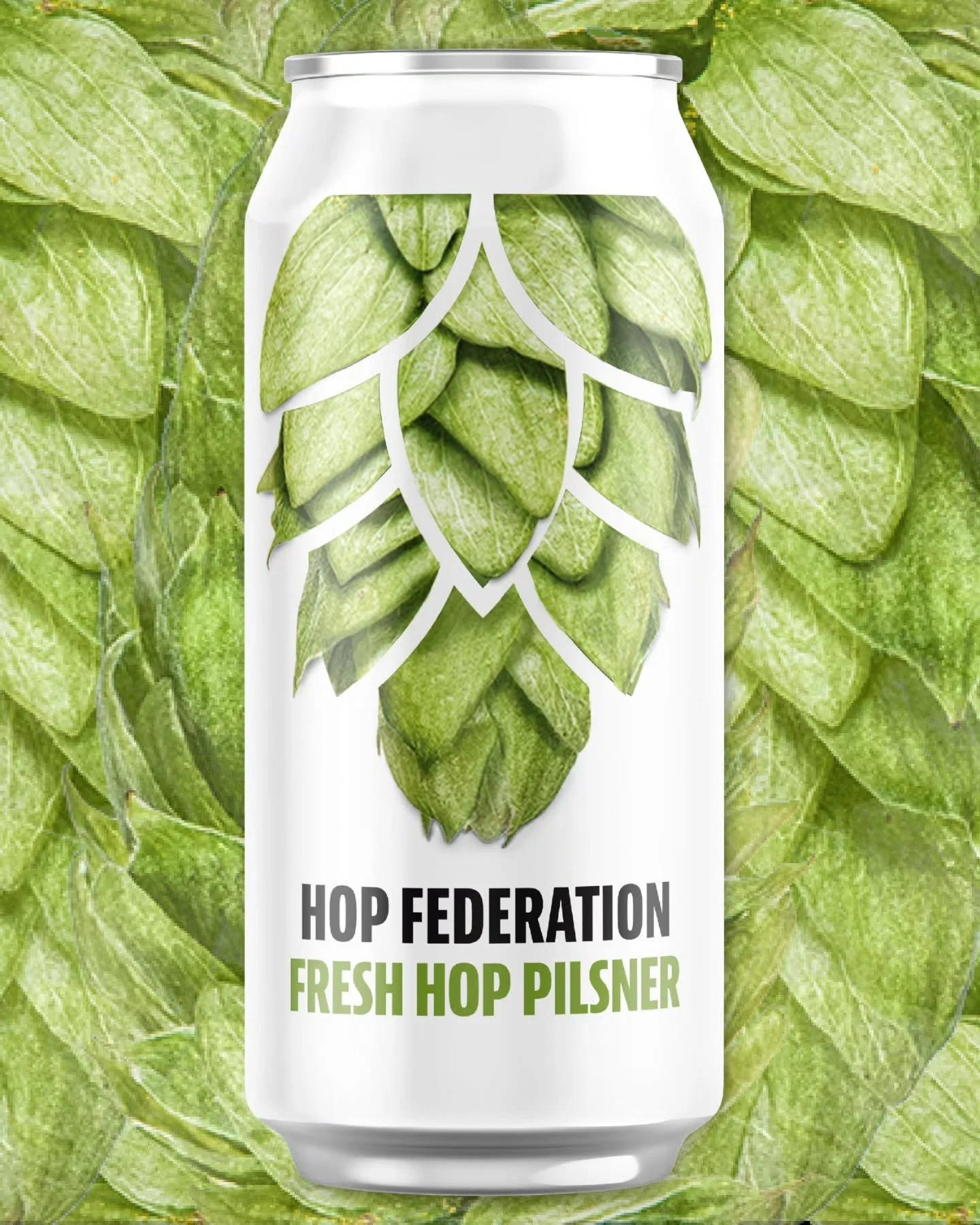 Our Fresh Hop Pilsner went down a treat last year so we've brought it back for 2026! 🍻

Packed with freshly picked Motueka and Taiheke hops from here in the Top of the South. Prepare your tastebuds for a delicious drop, zapping with zingy, zesty cit