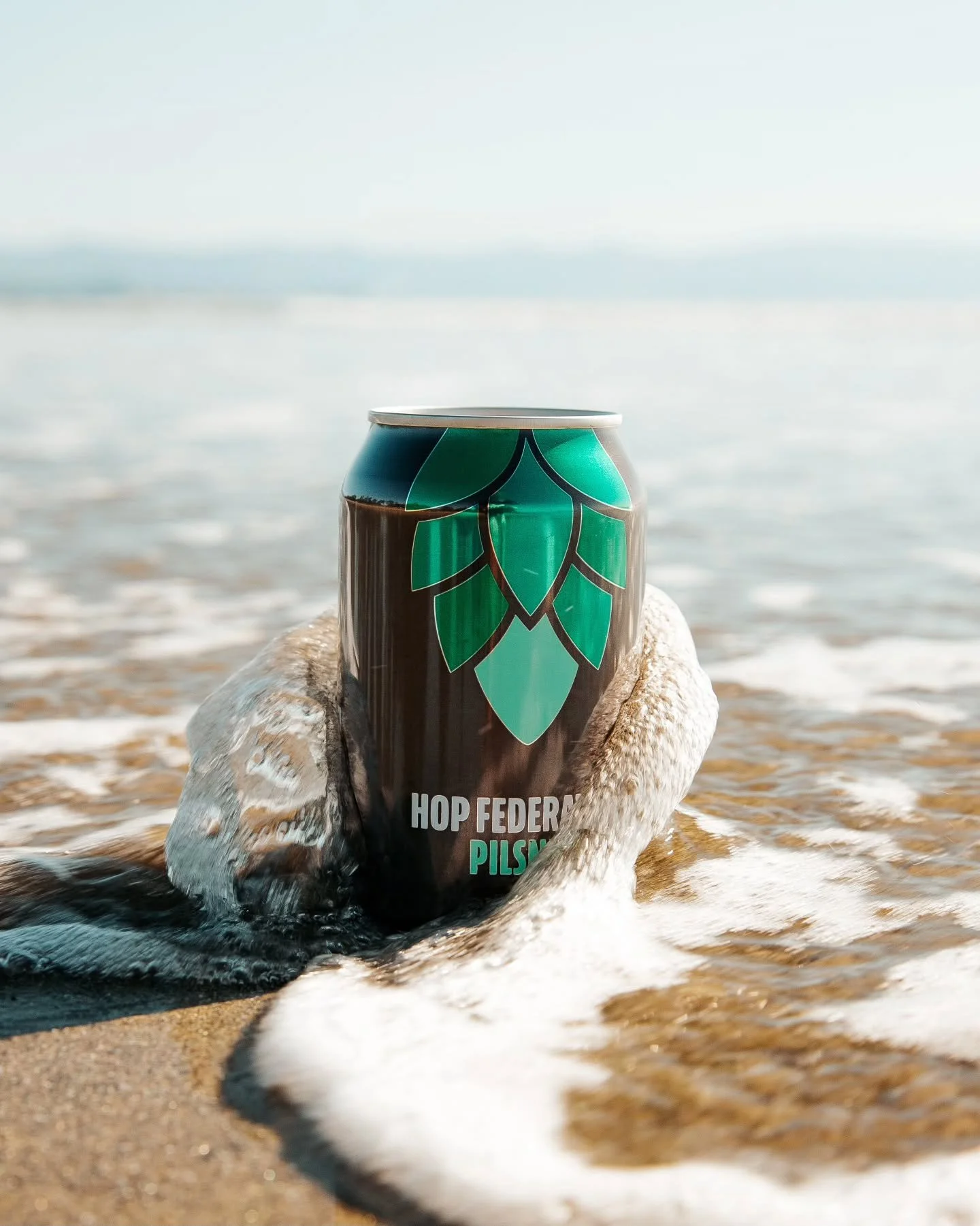 Love our Pilsner? It's now on tap at the following:

📍@themoutere1850 (&amp; Hazy IPA)
📍@gk_eatery 
📍@appleby_garden_bar_kitchen (&amp; NZIPA)

Get in there and support locals supporting locals 👏 💙

#hopfederation #craftbeernz #nelsontasman #sup