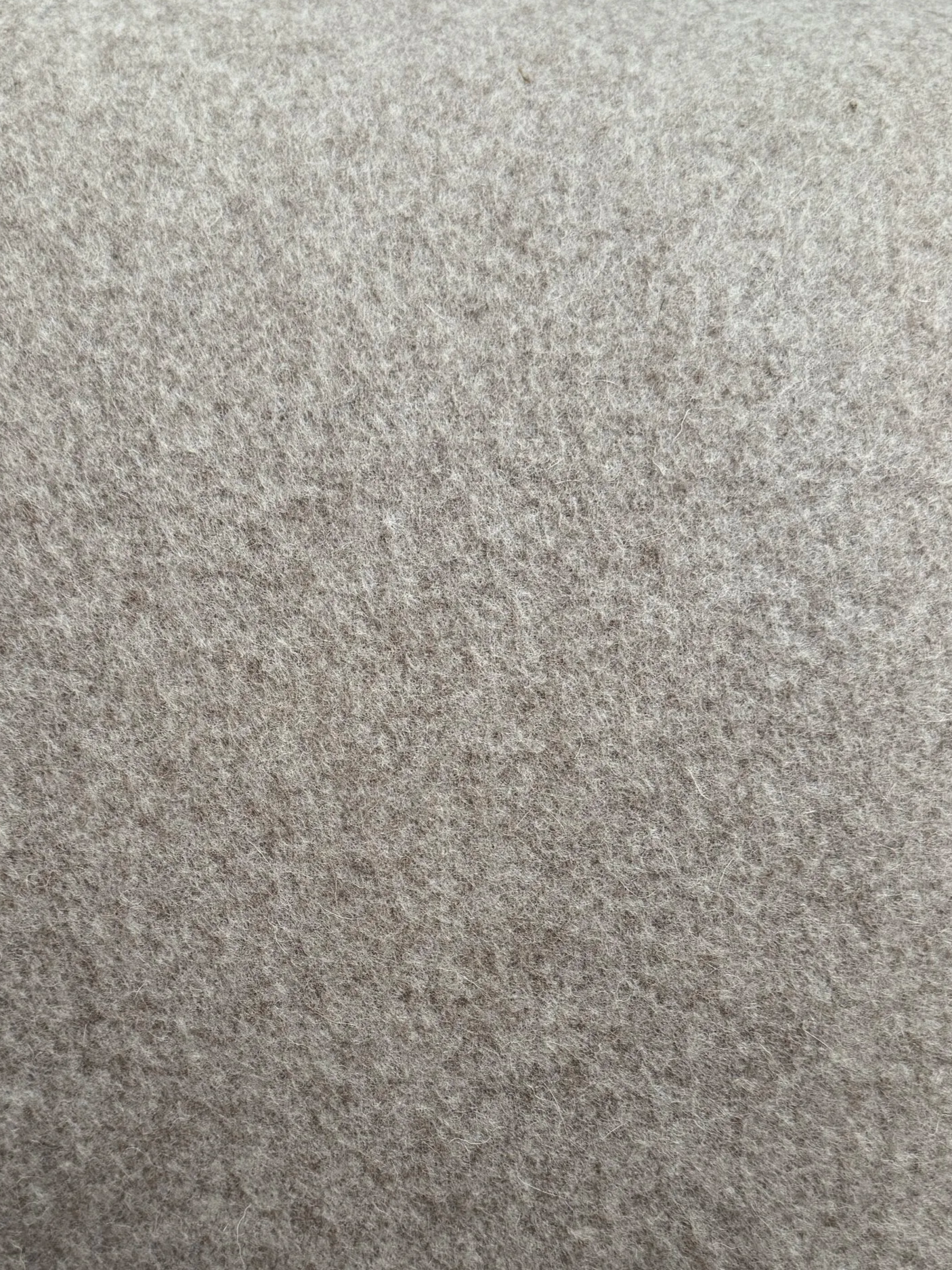 IMG_0762.png