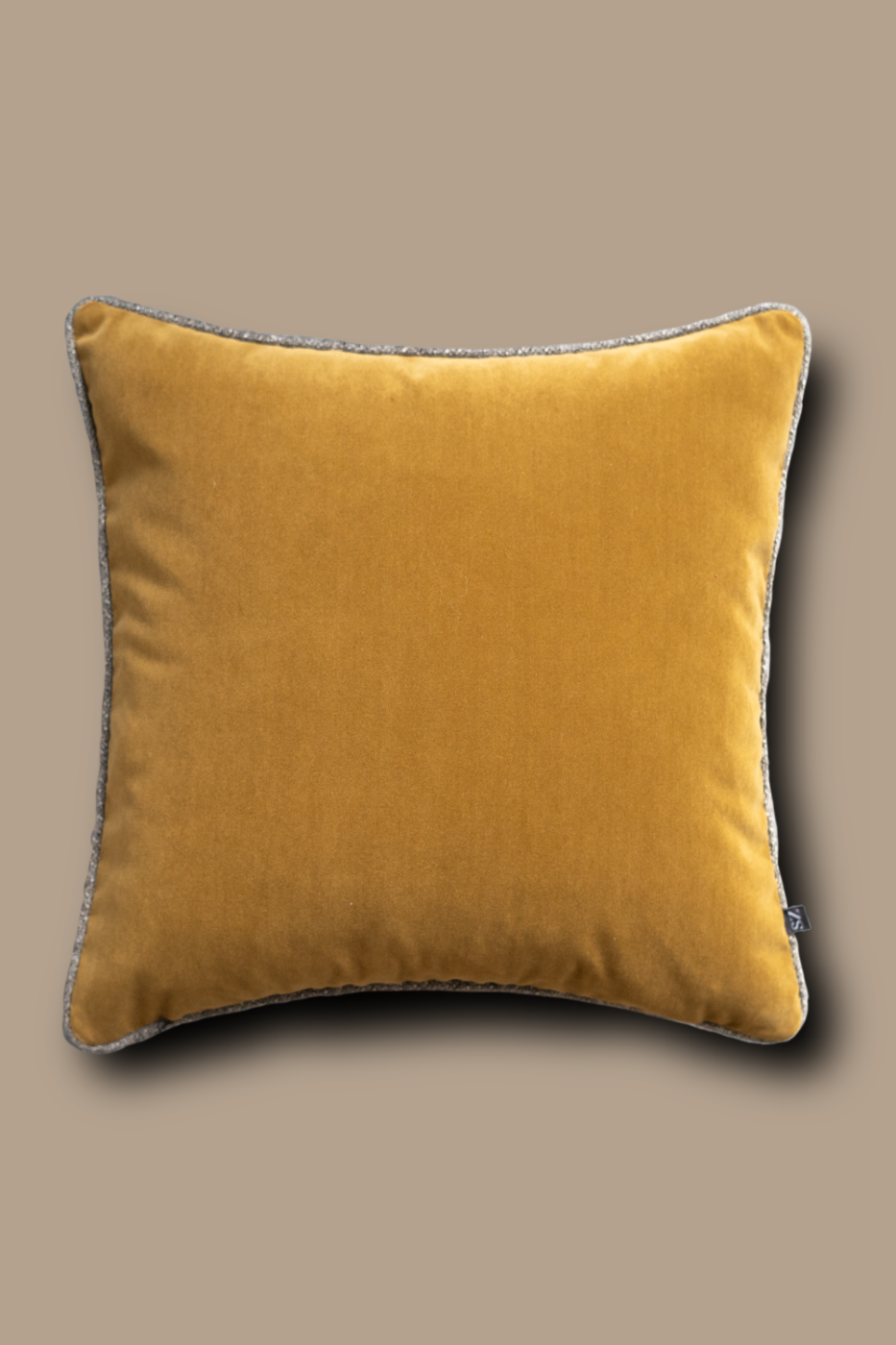 c5 reverse-Wimborne reverse.png