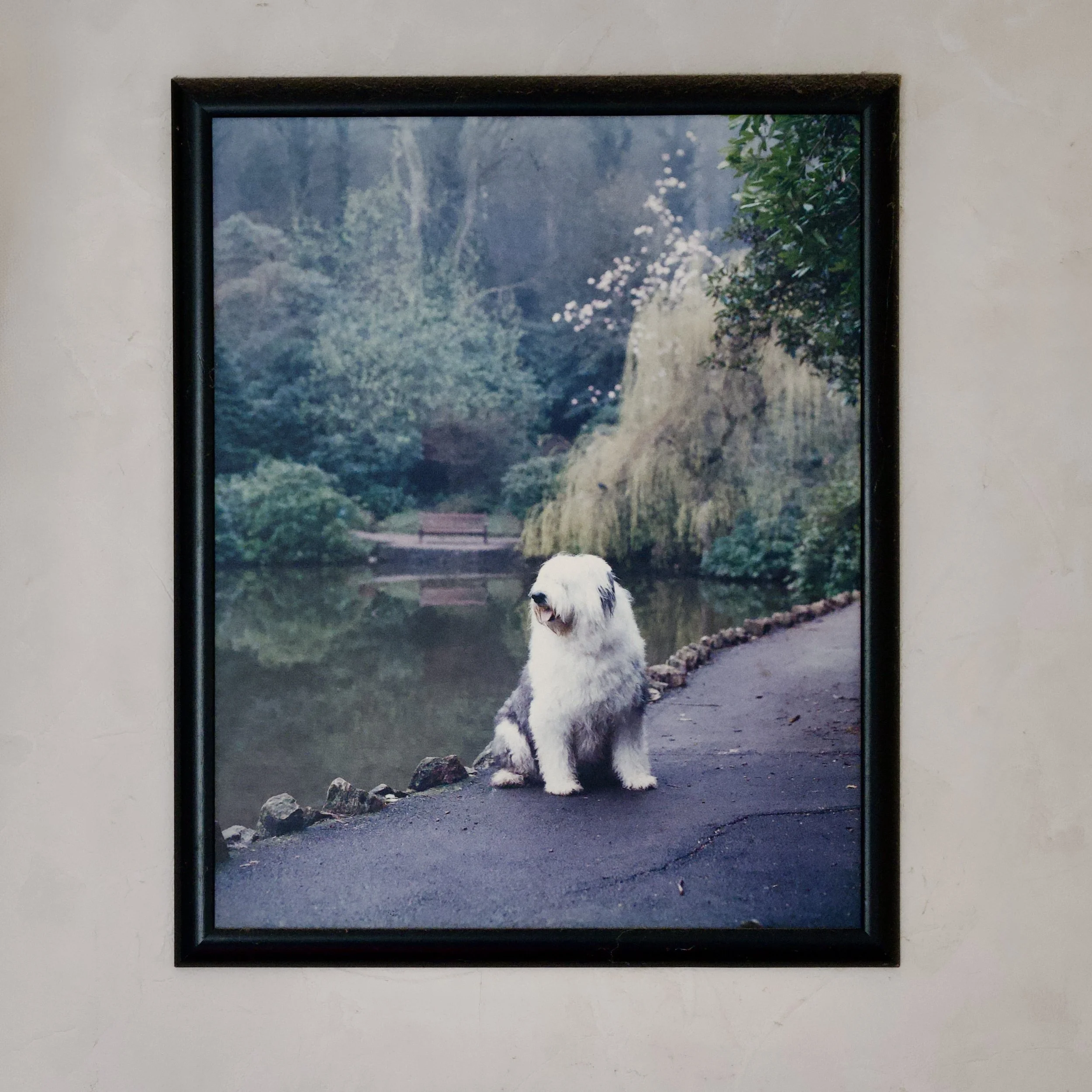 DSC_1518.jpeg