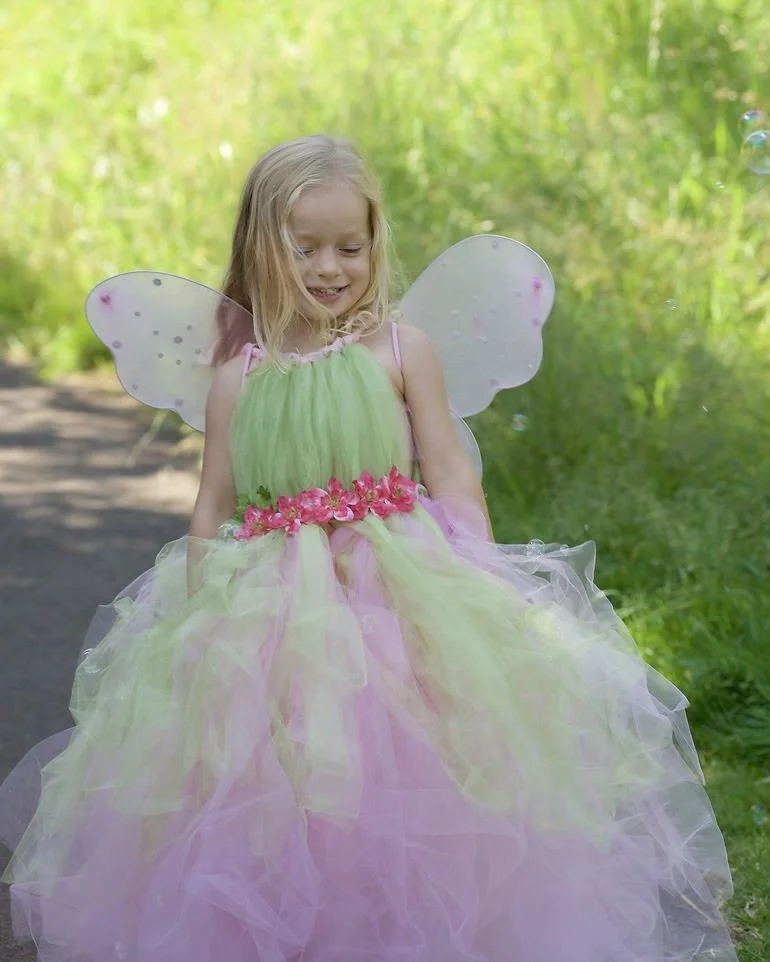 A young girl dressed in a fairy or princess costume with pink and yellow tulle, green bodice, pink floral belt, and fairy wings, standing outdoors on a dirt path with green foliage in the background.