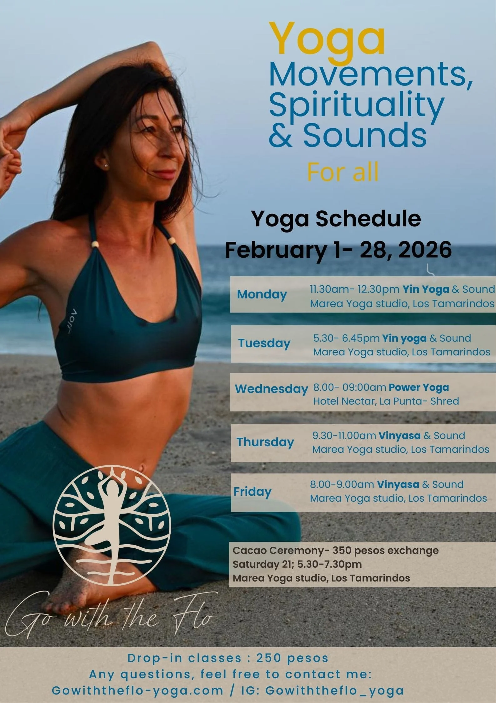 Yoga schedule holistic Puerto Escondido