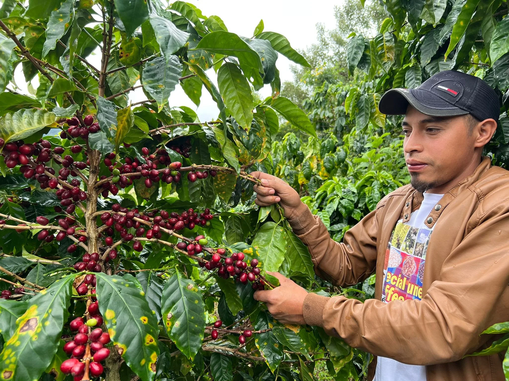 Processing Lab - Producer Ariel Funez