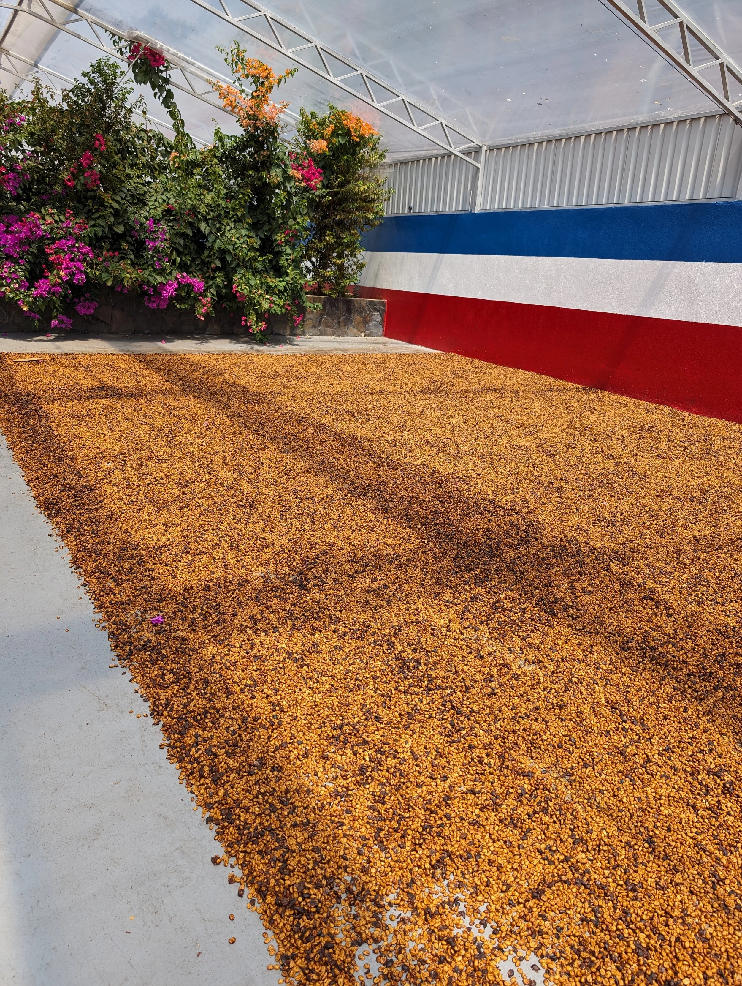 Copy of PXL_20240307_163517118.jpg