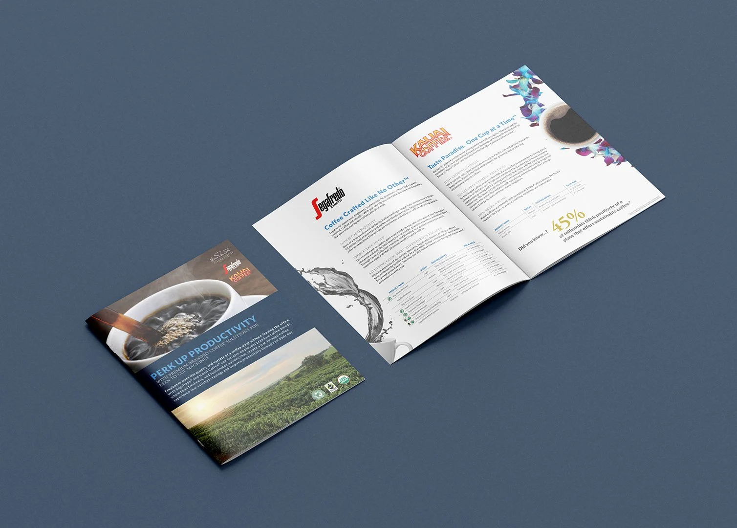 MZB-Collateral_Artboard 12.jpg