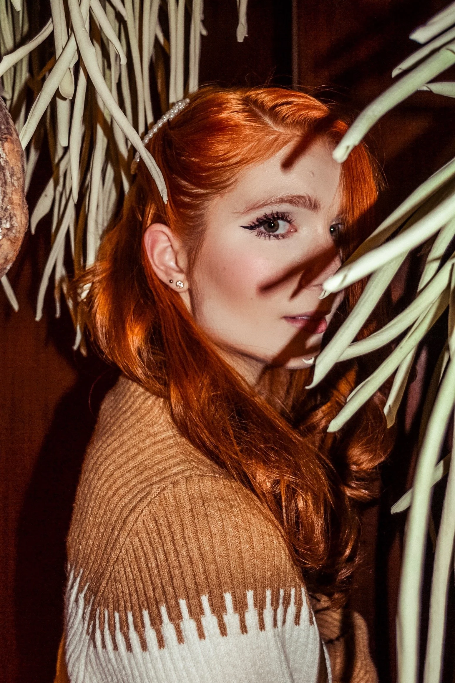 Photo Shoot using extensions November 2019