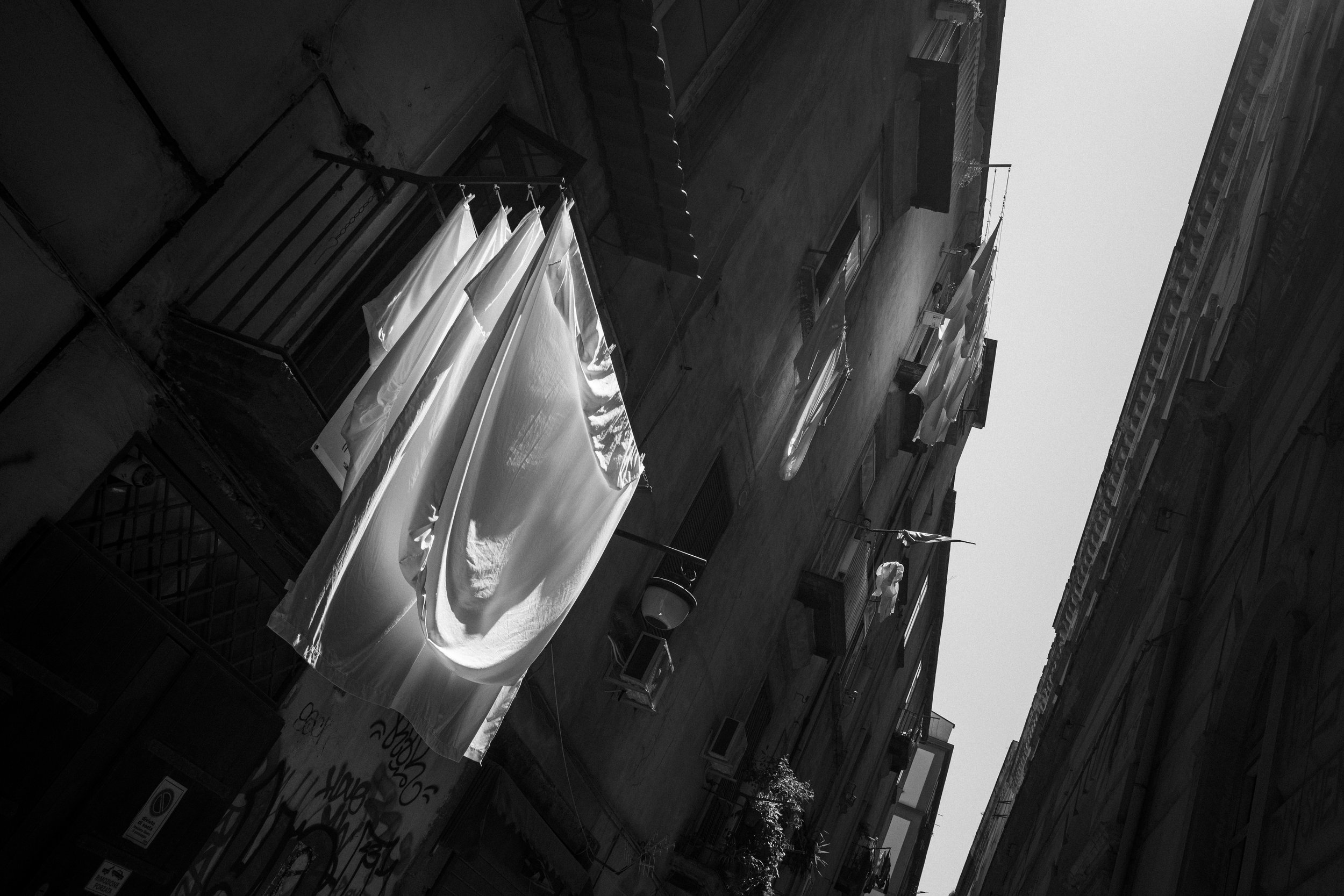 _R004028.jpg