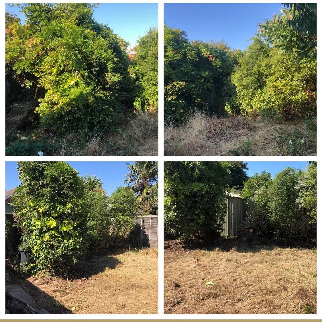A big effort in the heat this morning to make this garden a usable space again.