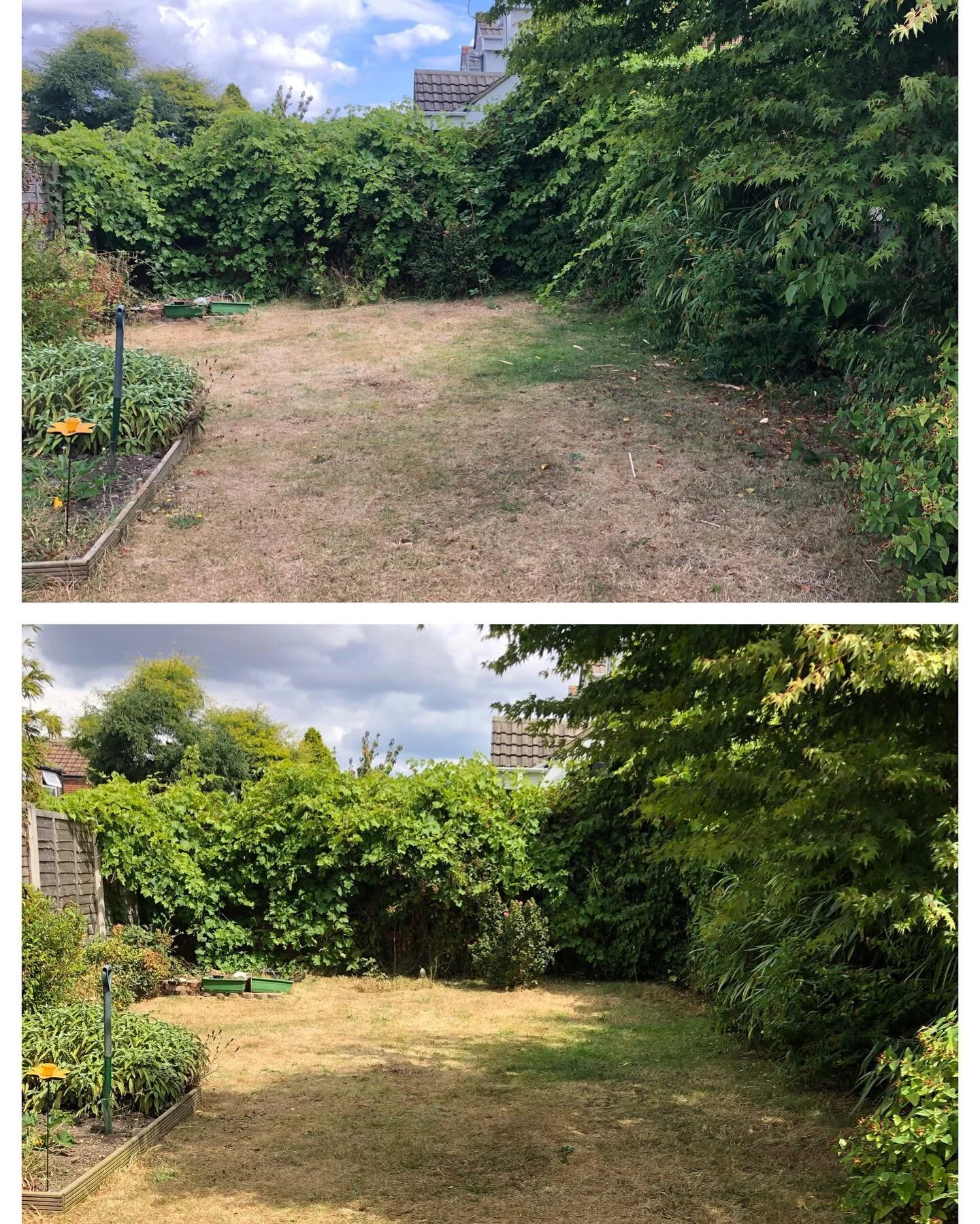 Finding the balance for a user and nature friendly garden can be tricky-but this soft tidy up restablishes the boarders whilst leaving enough fruit for wildlife to enjoy. 
#yourecogardener
#emmisionfree 
#naturefriendly