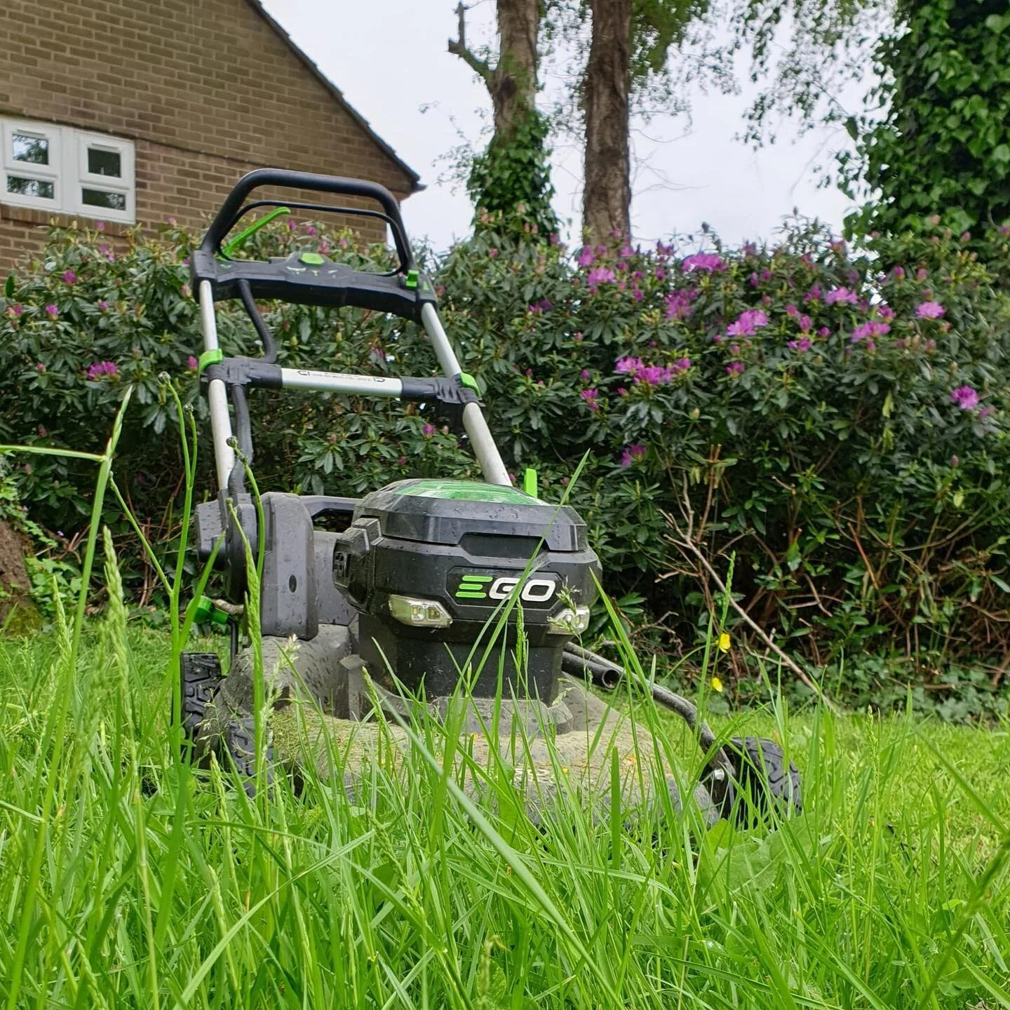 No petrol, no problem 🧑‍🌾🌱
