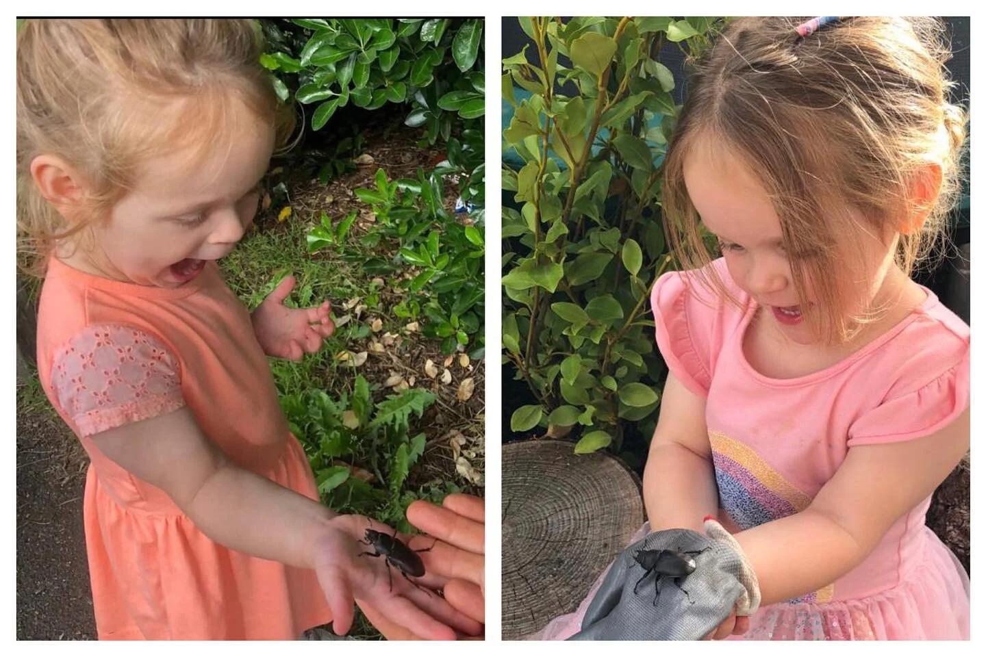 About a year ago Bella spotted a stag beetle in our local park, she then asked how we could “grow” them in our garden. 
We added a few log piles and bit bark and today spotted our first “home grown” stag beetle.
 🪲 🥰