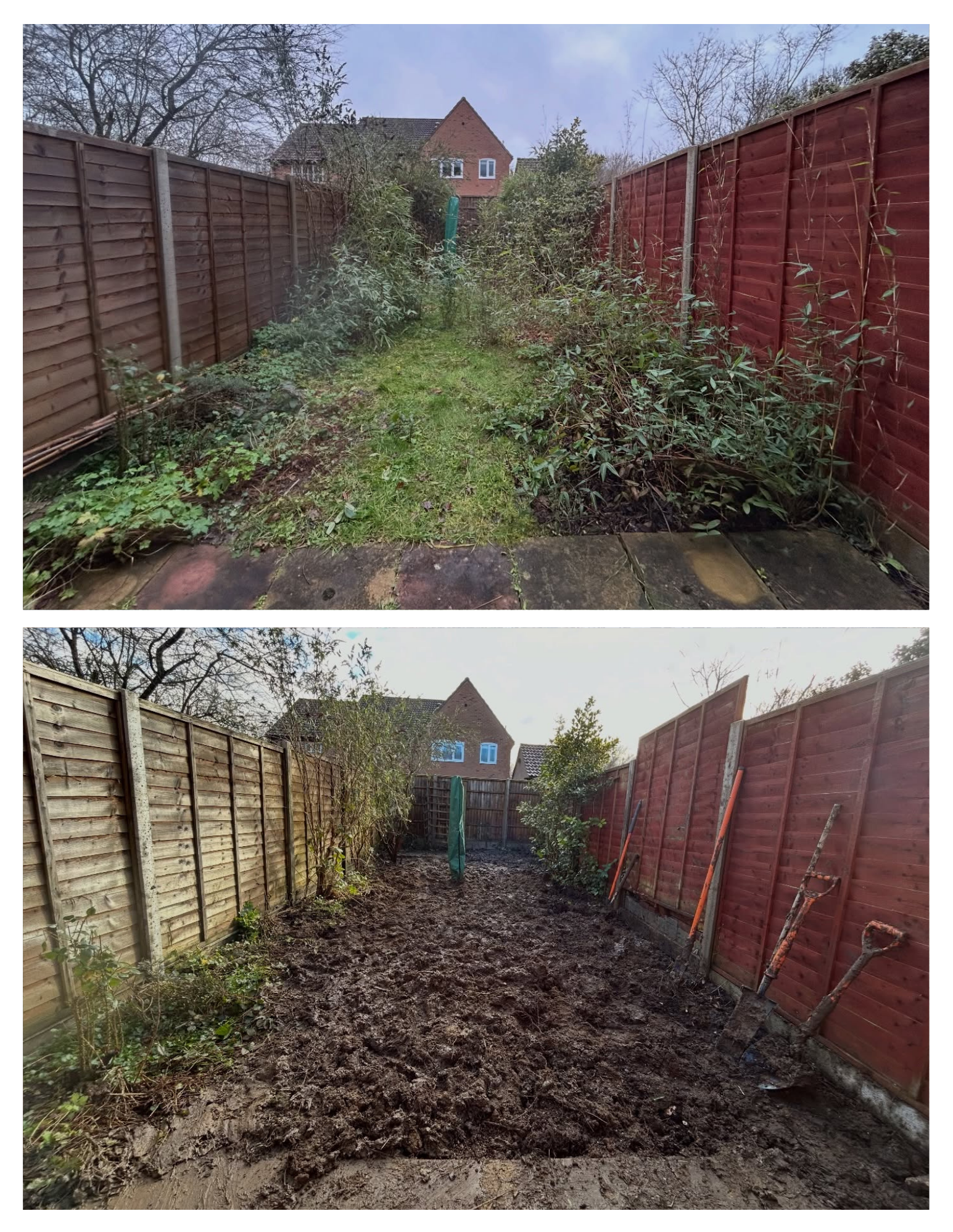 A tricky one with the current conditions, but another successful bamboo removal from this garden