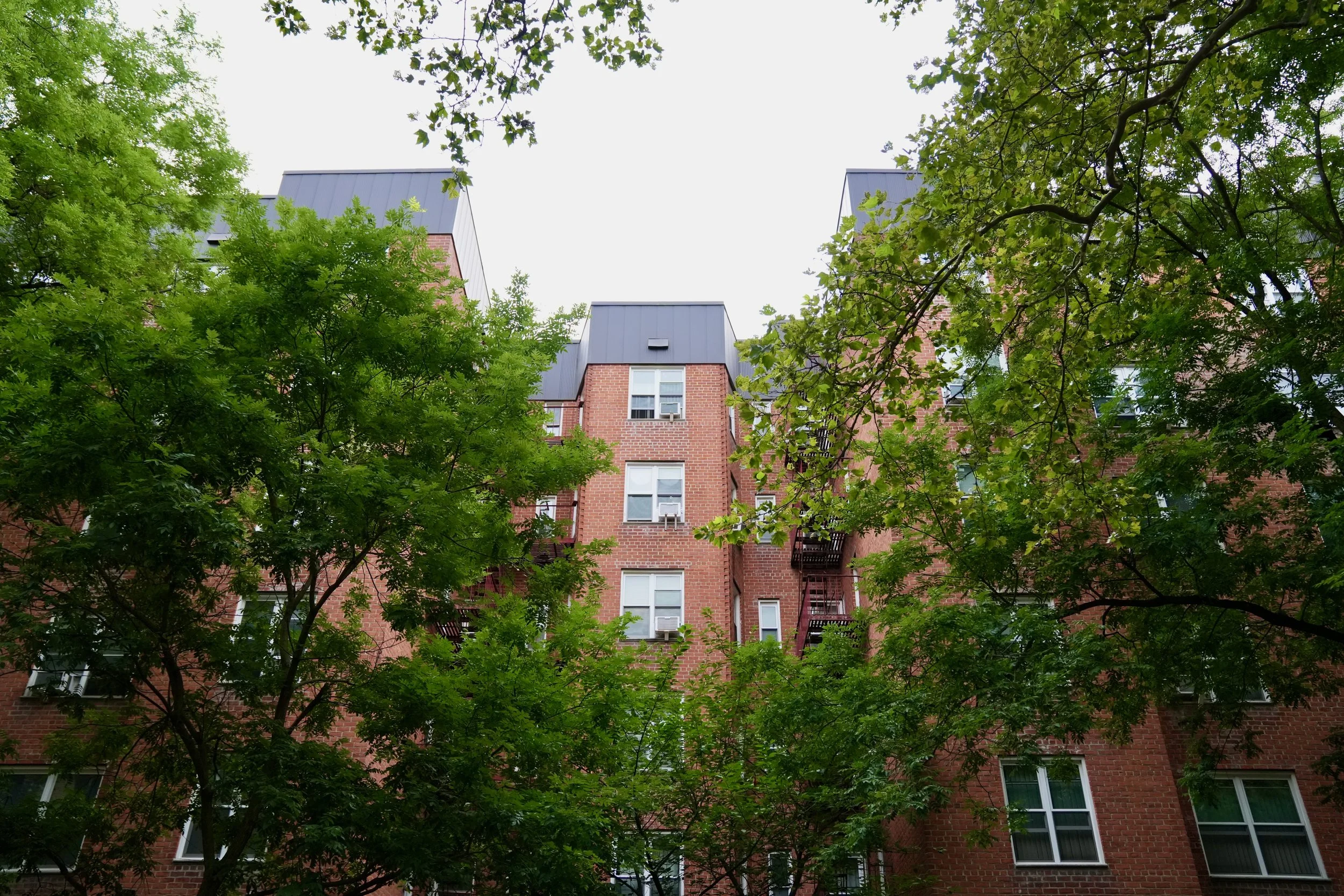 Scaffolding Erection