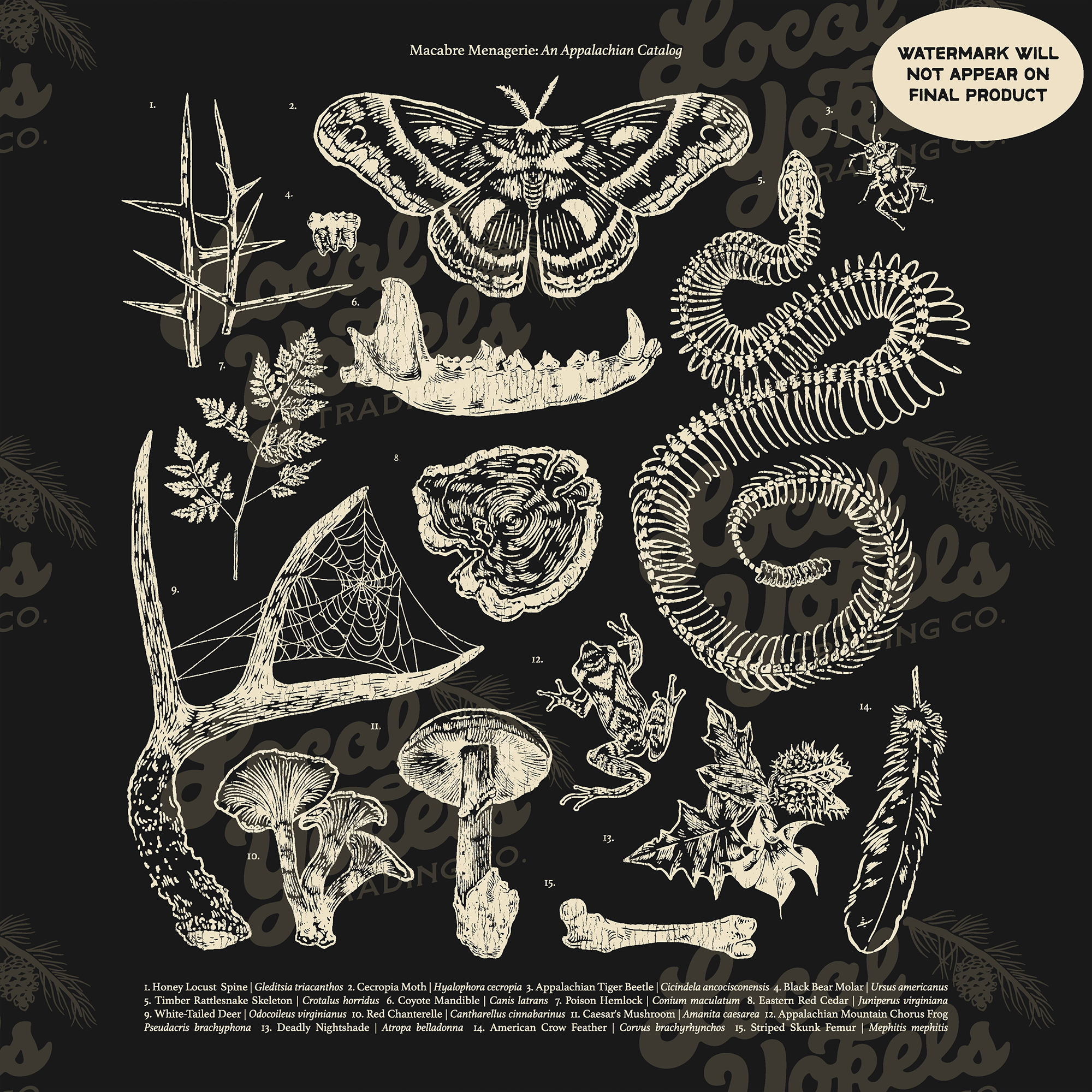 Macabre_Art_Black copy.png