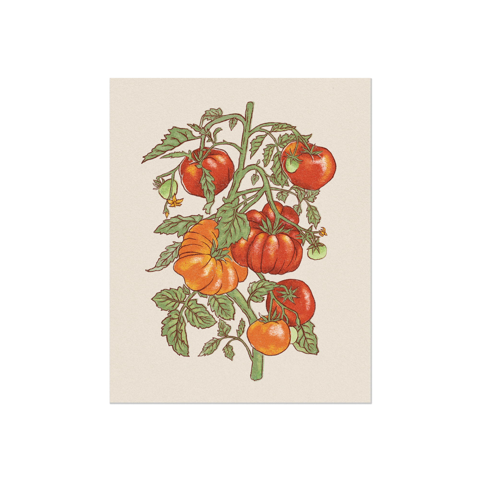 Tomato_Print_Mock.png
