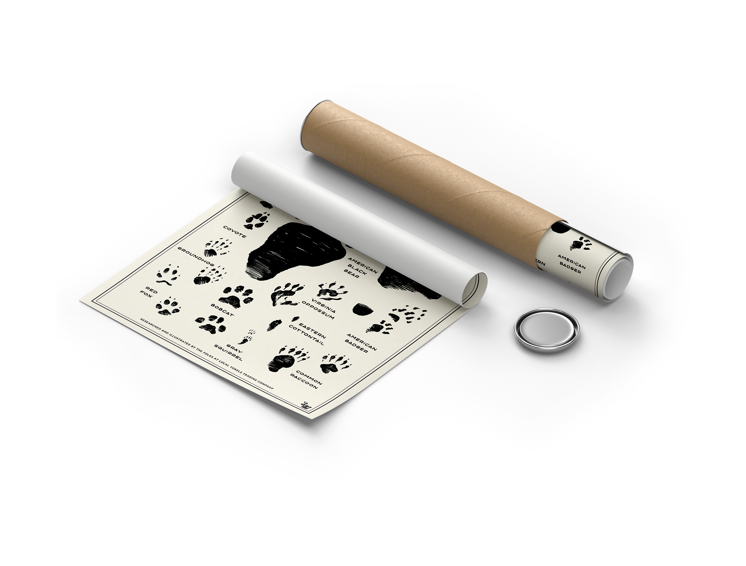 AppalachianMammals_Print_Mockup.png