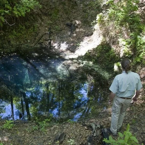 Florida’s Round Lakes; The Science of Sinkholes