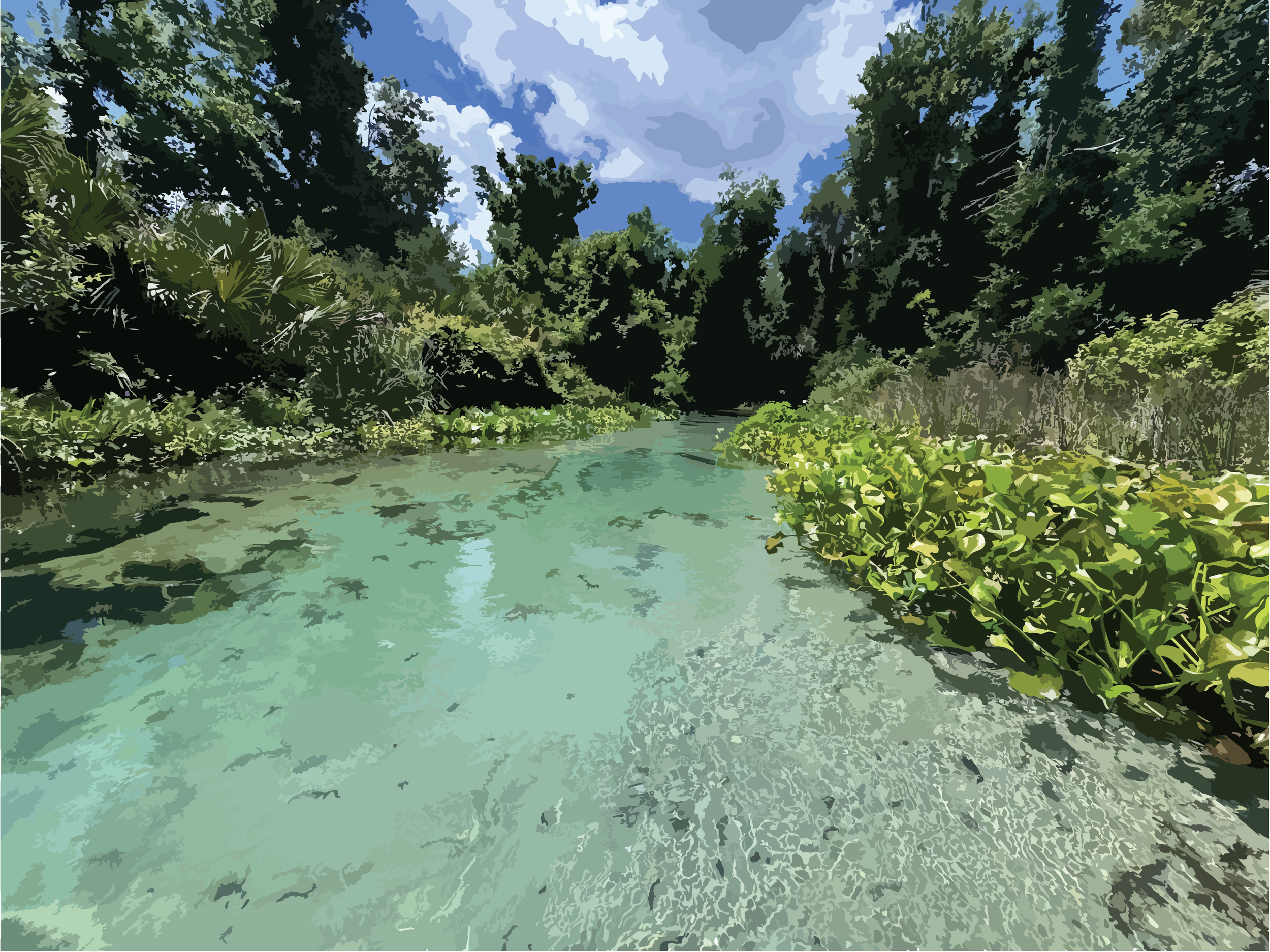 Wekiwa-Rock Springs BMAP Update