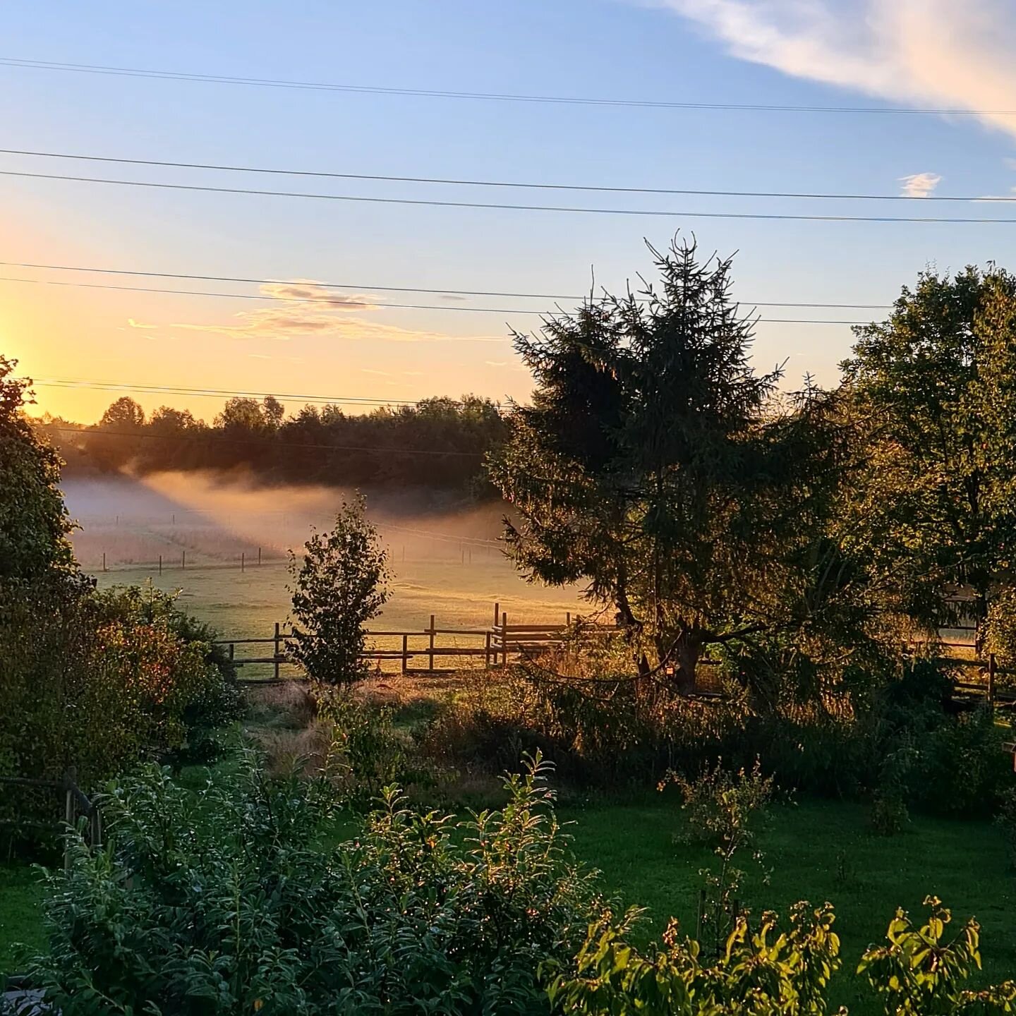 Day-by-day natural light therapy during this year's September...in Denmark, at least.