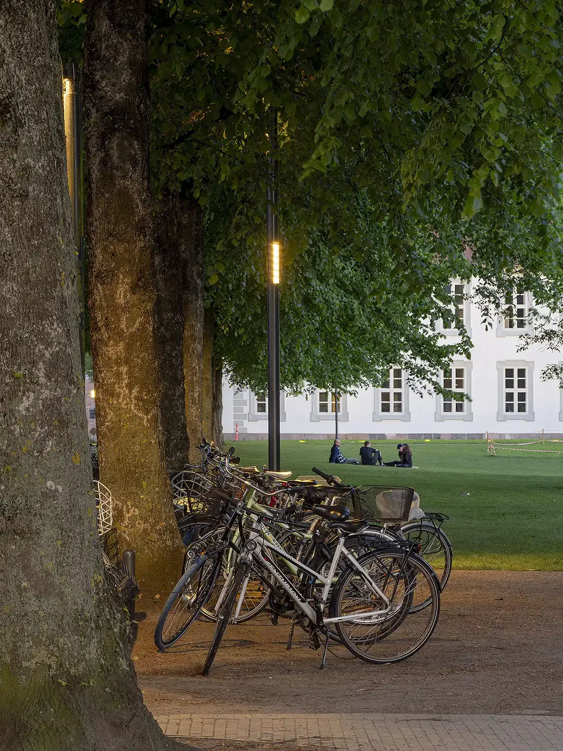 Kongens Have Odense - Belysning af Lightscapes - 01-Cykelparkering.webp