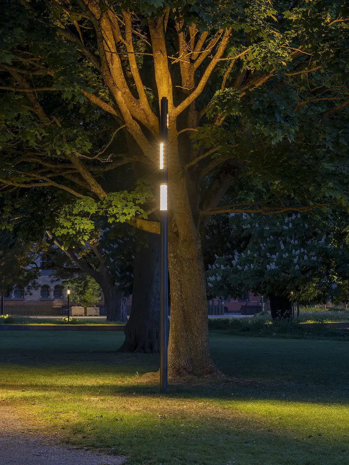 Kongens Have Odense - Belysning af Lightscapes - 04-lys på træer og landskab.webp